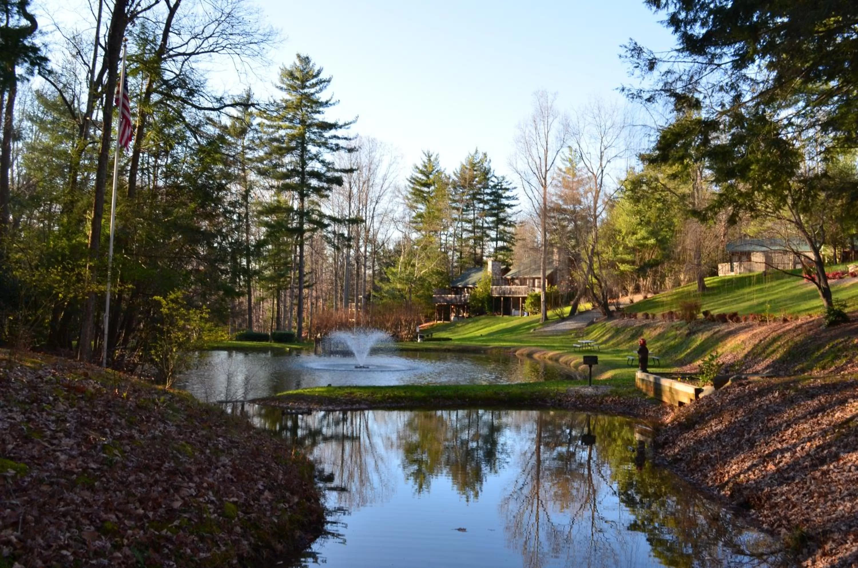 Bird's eye view, Natural Landscape in Asheville Cabins of Willow Winds