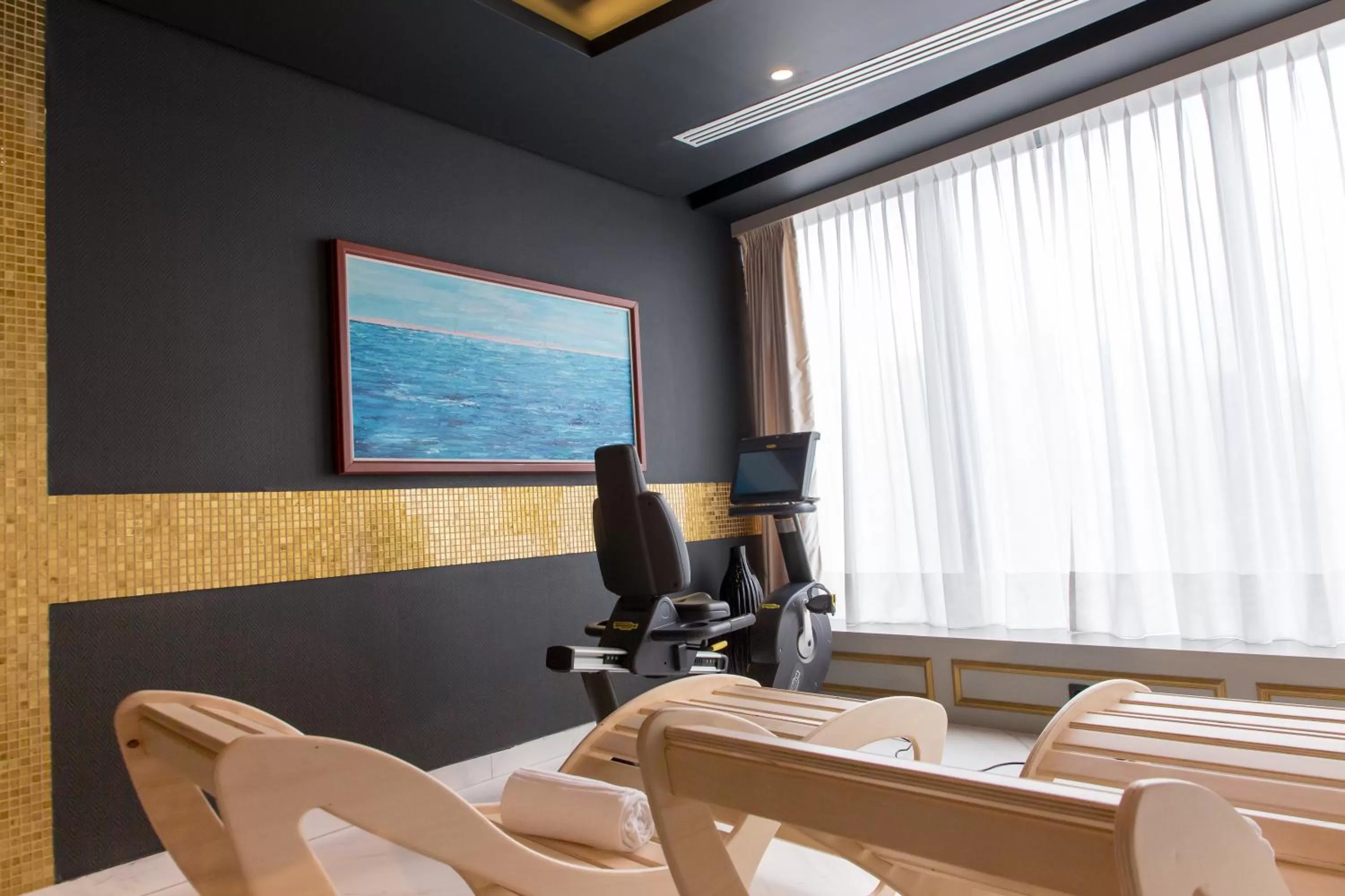 Fitness centre/facilities in Swissotel Sarajevo