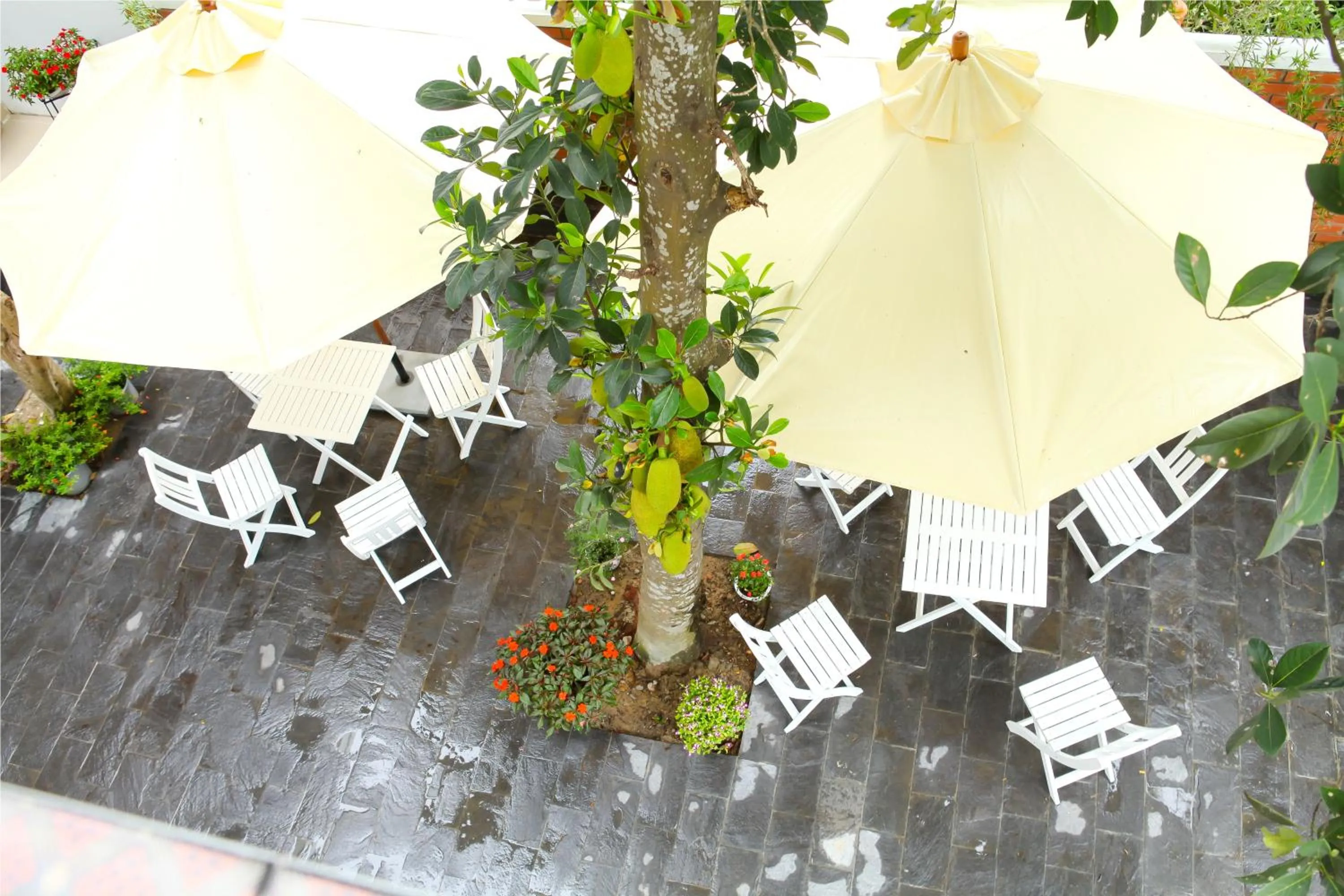 Garden in Blue Lake Homestay