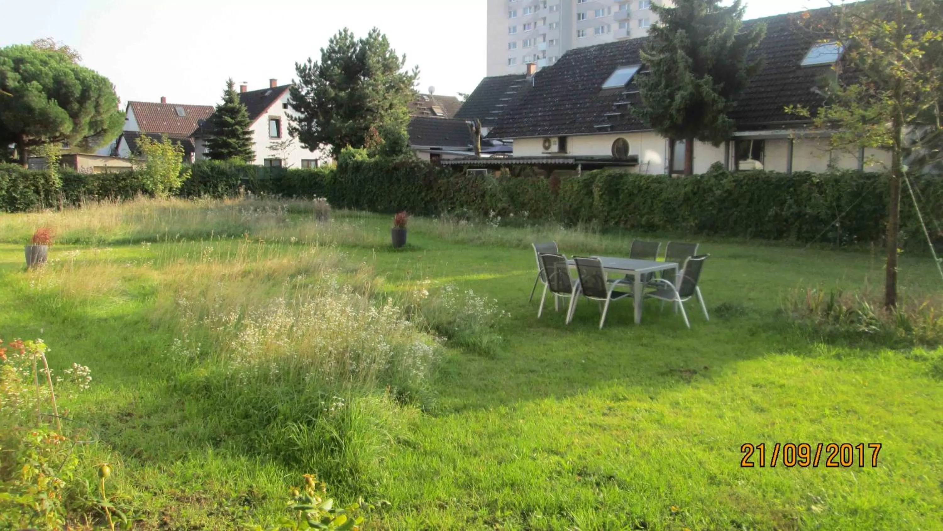 Garden in Hotel Attaché