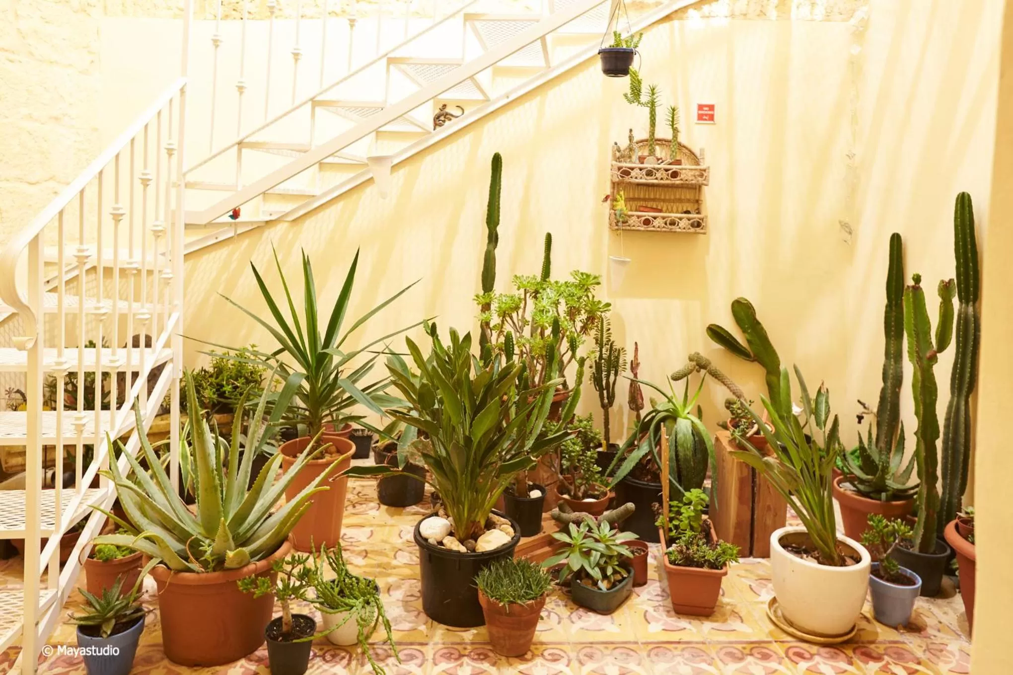 Balcony/Terrace in Provicario