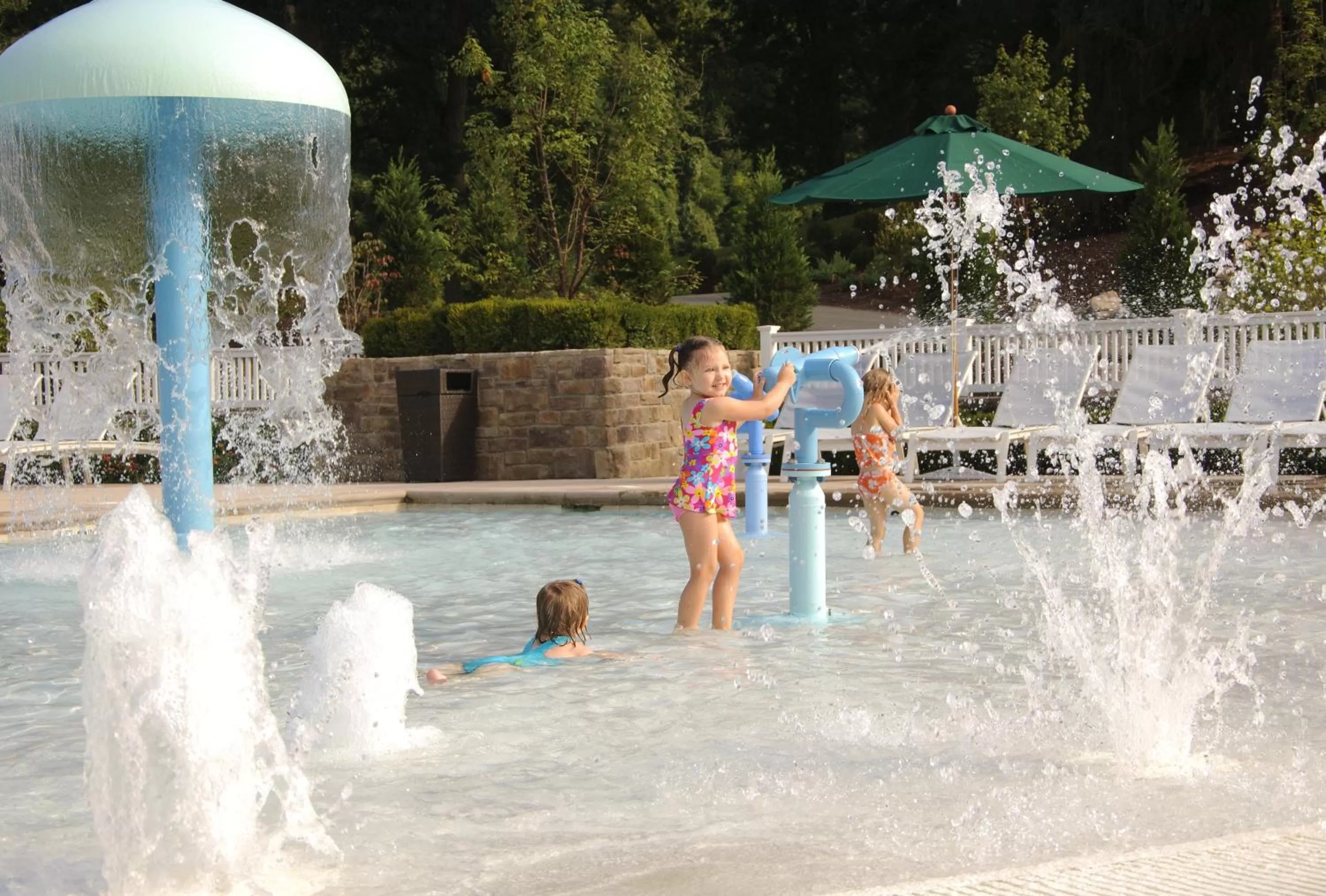 Swimming pool in The Omni Homestead Resort & Spa