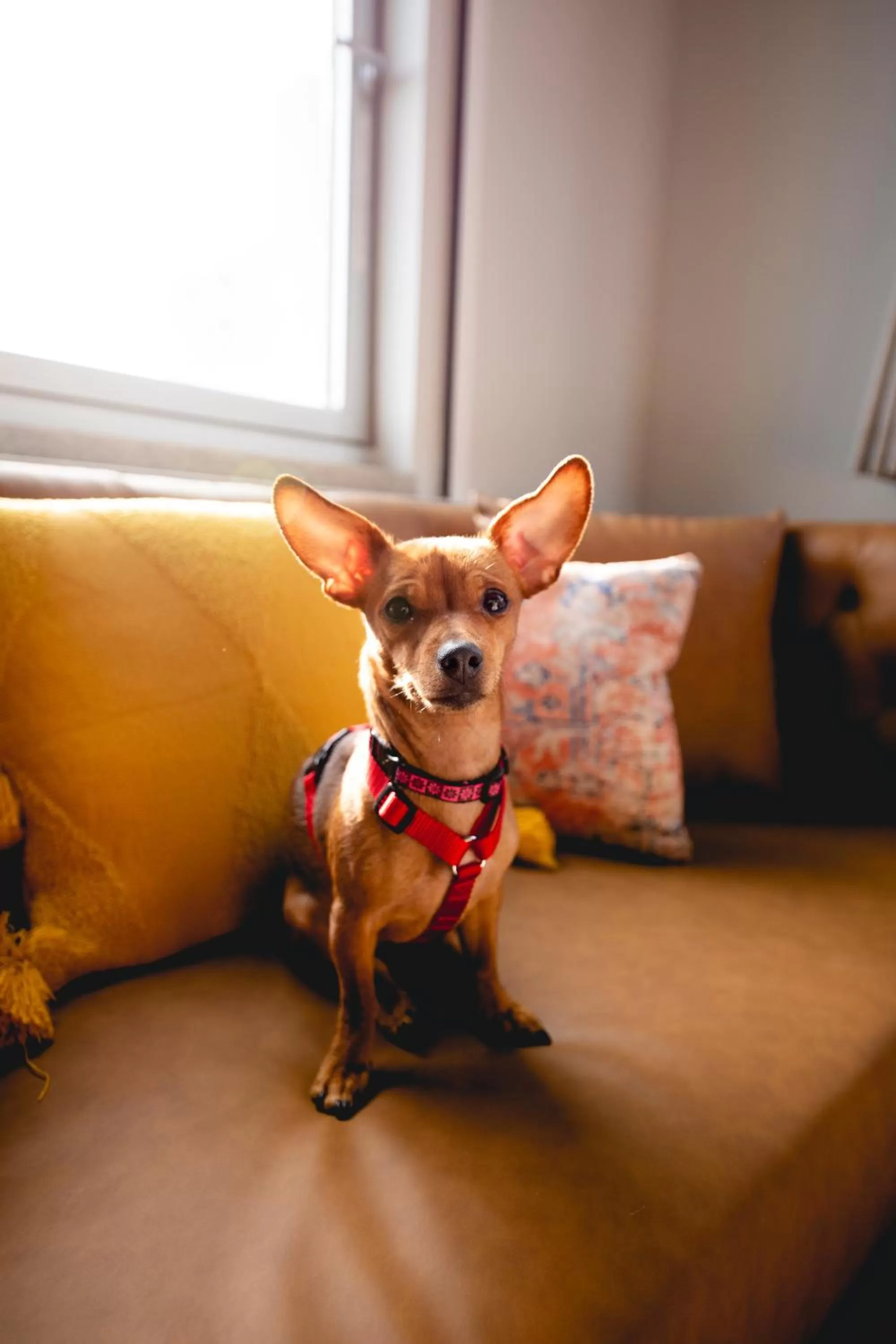 Staff in The Modernist Hotel