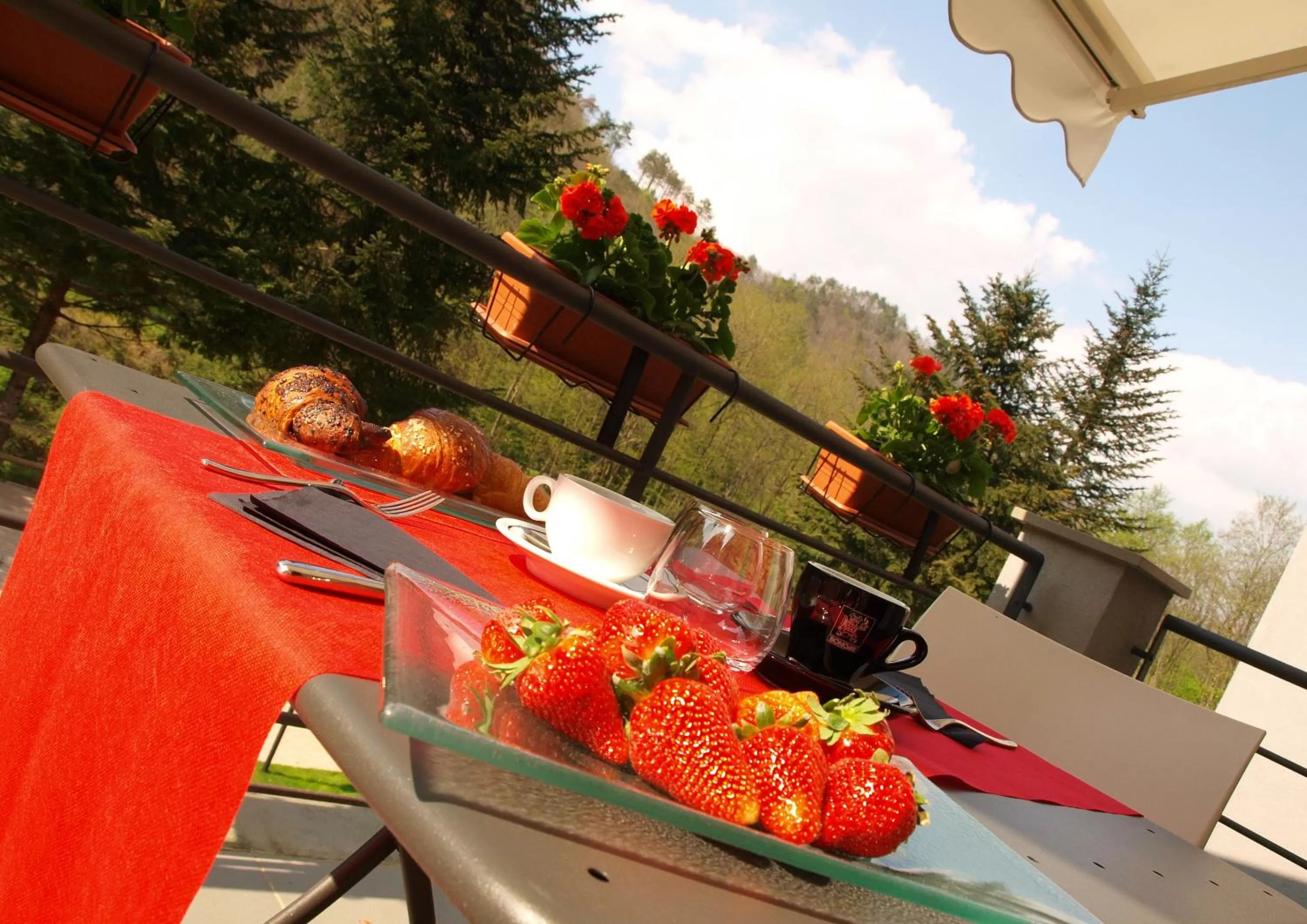 Balcony/Terrace in Hotel Abetaia