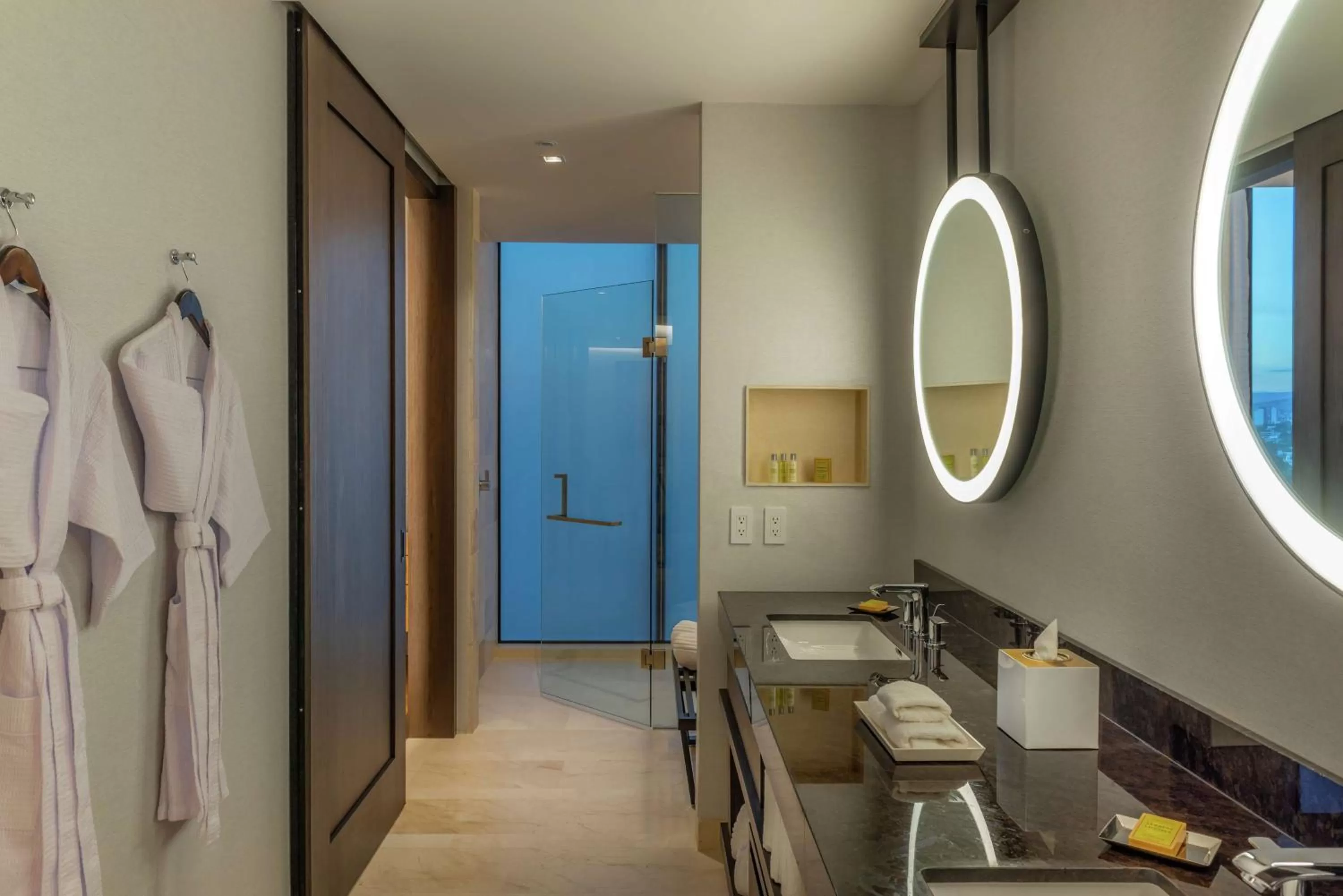 Toilet in Hilton Guadalajara Midtown