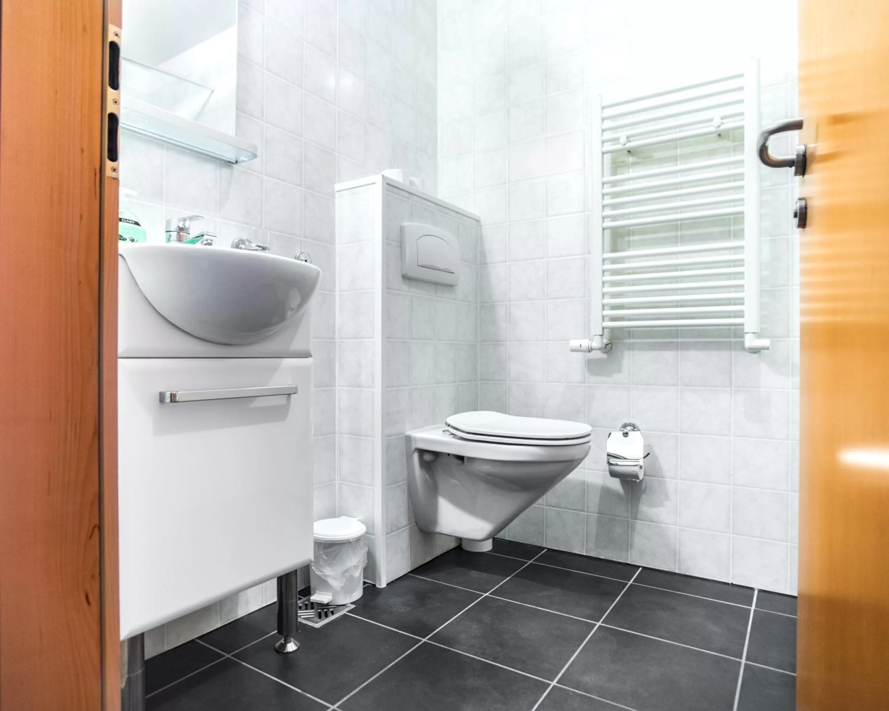 Toilet in Hotel Laxnes