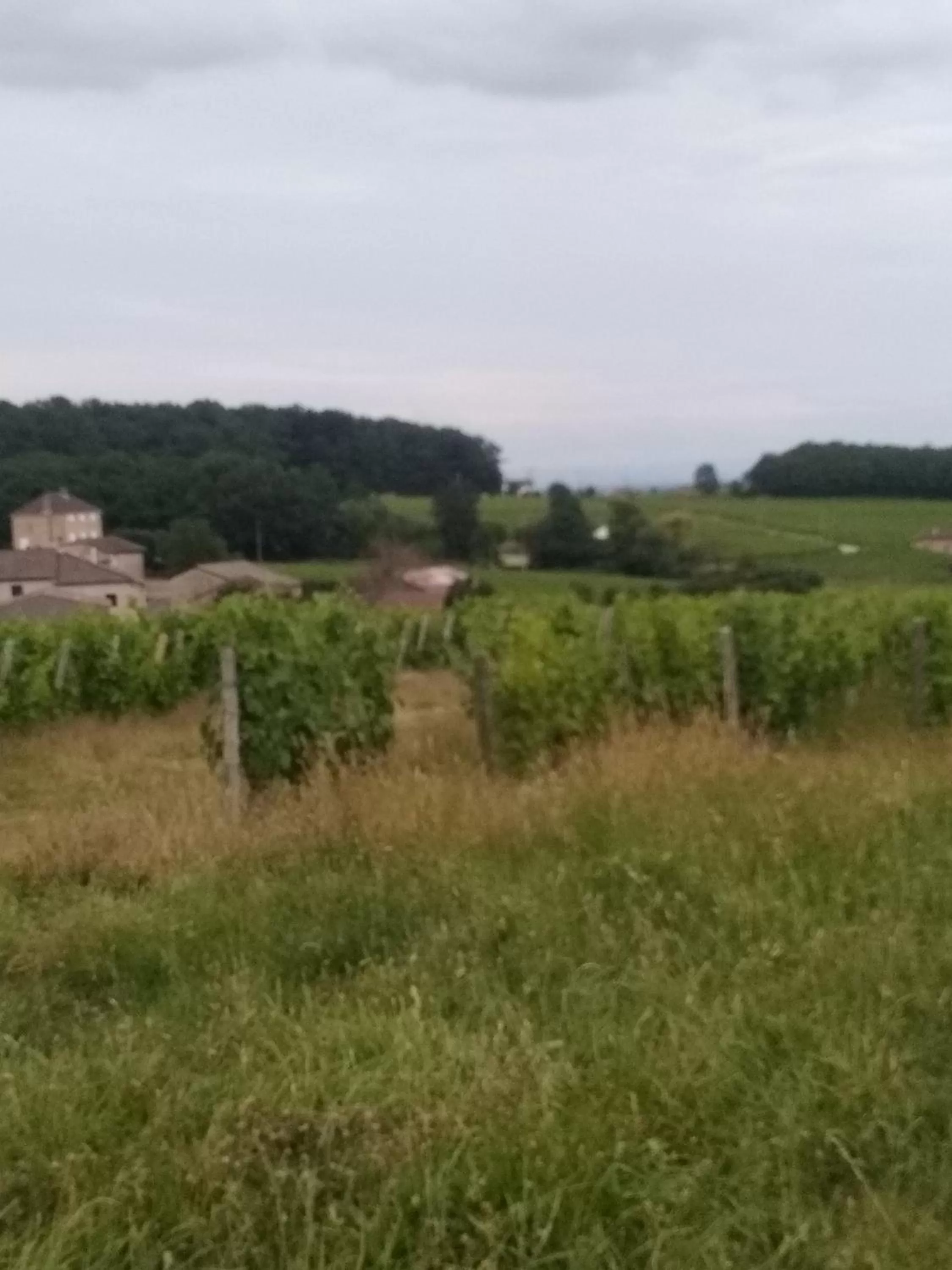 Natural landscape in Virginie et Serge