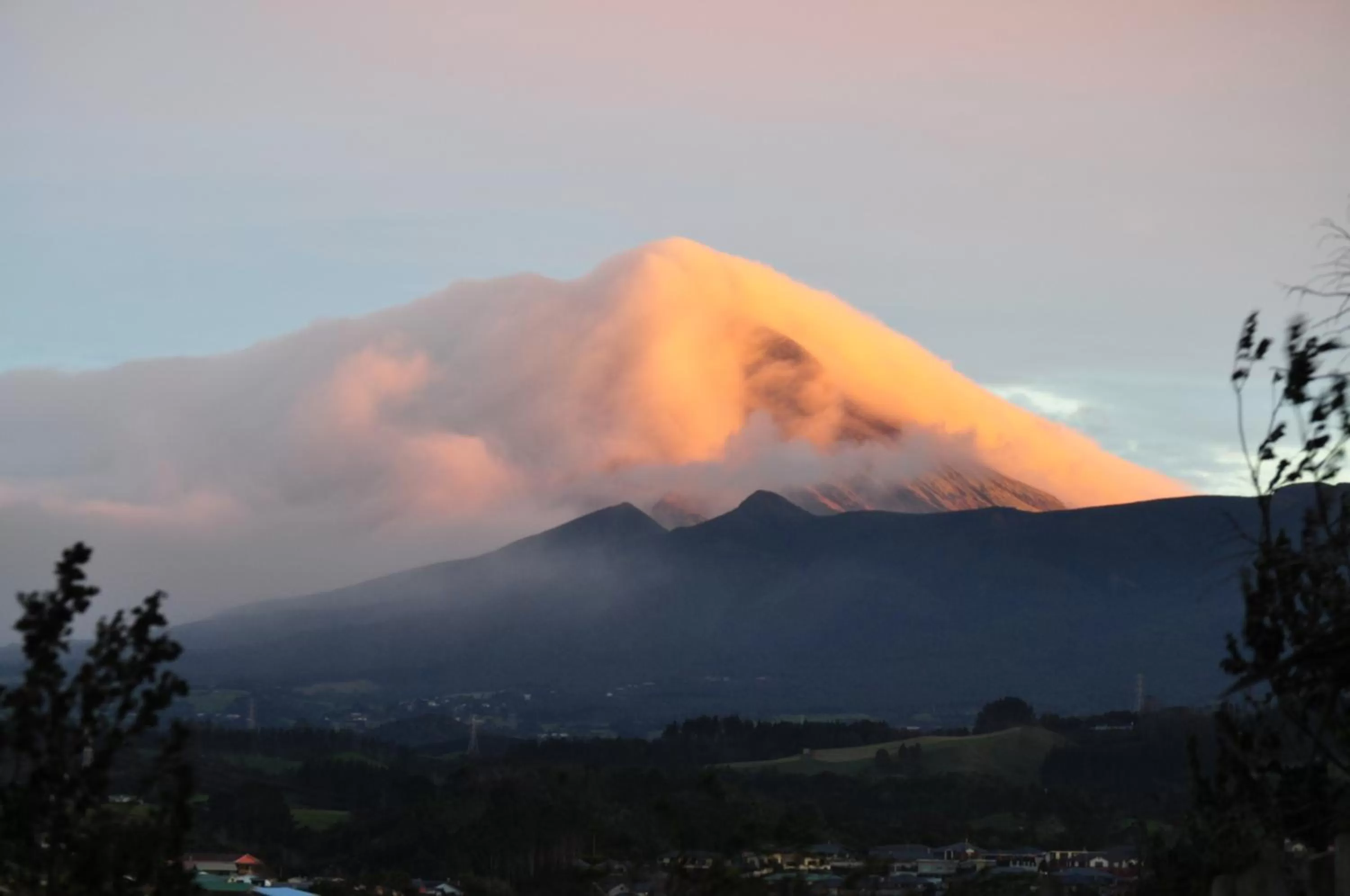 View (from property/room) in 16 Havelock