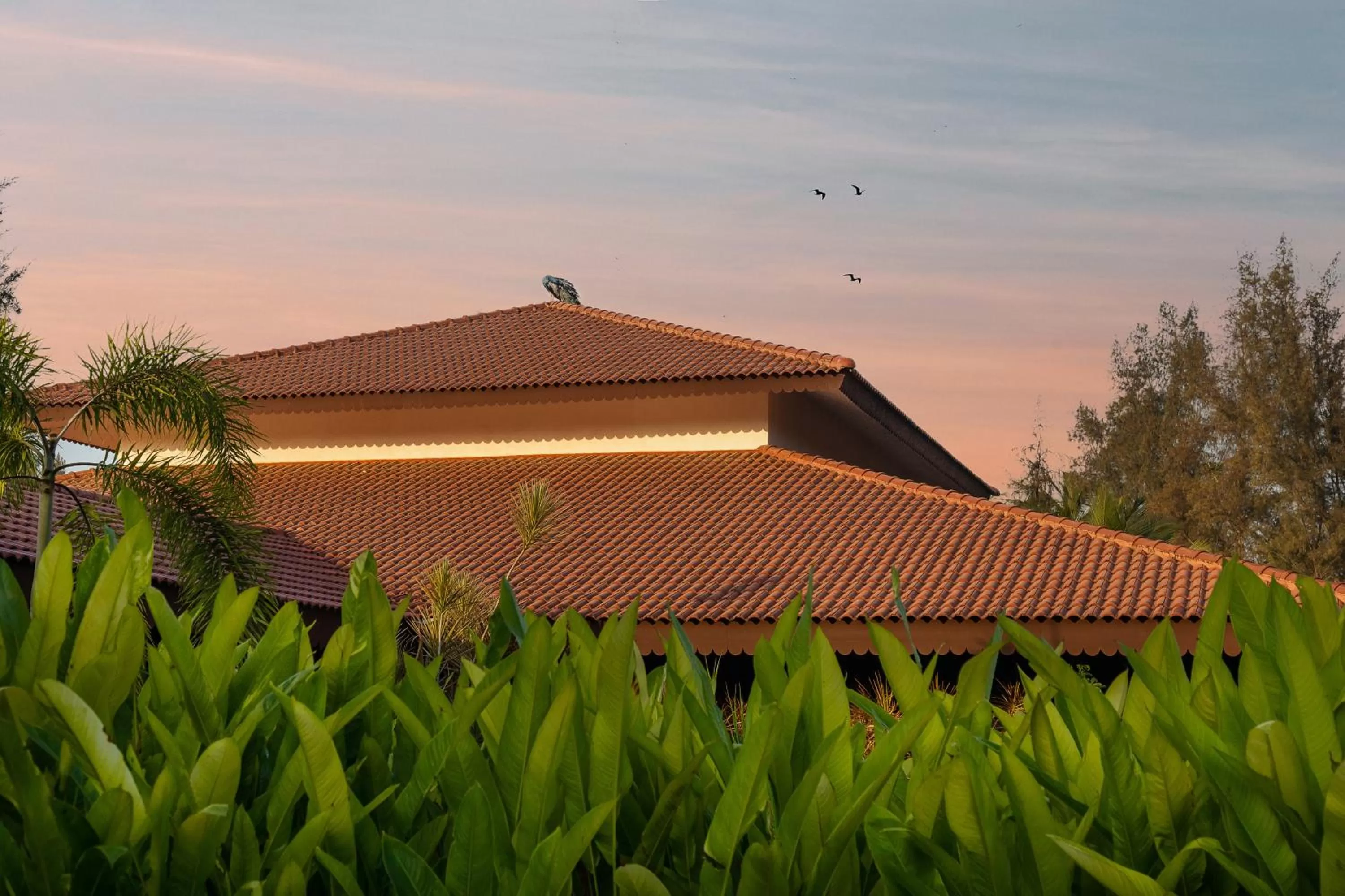 Property building in Denissons Beach Resort, formerly Gamyam Retreat