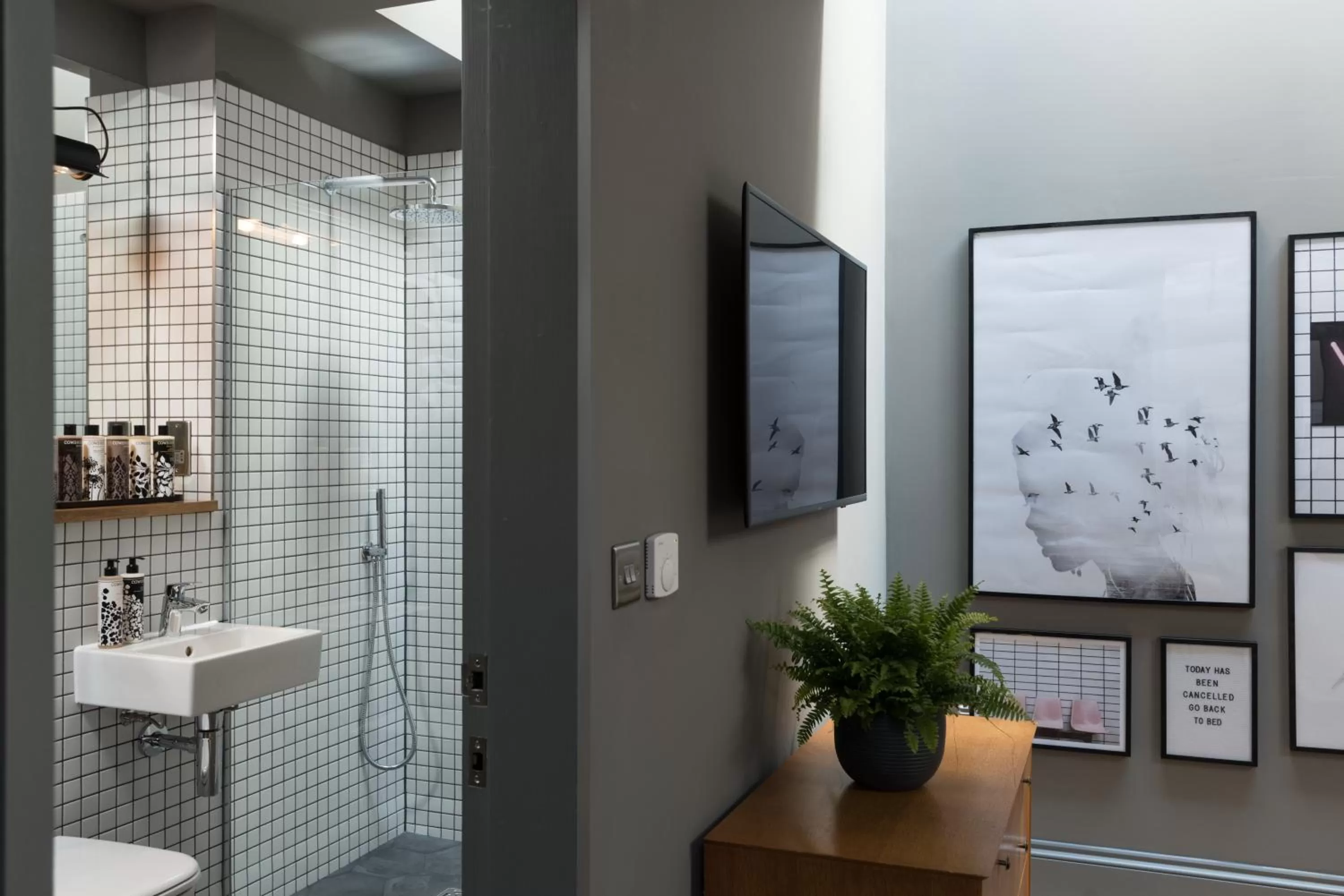 Hiding Space - Trim Street Apartments