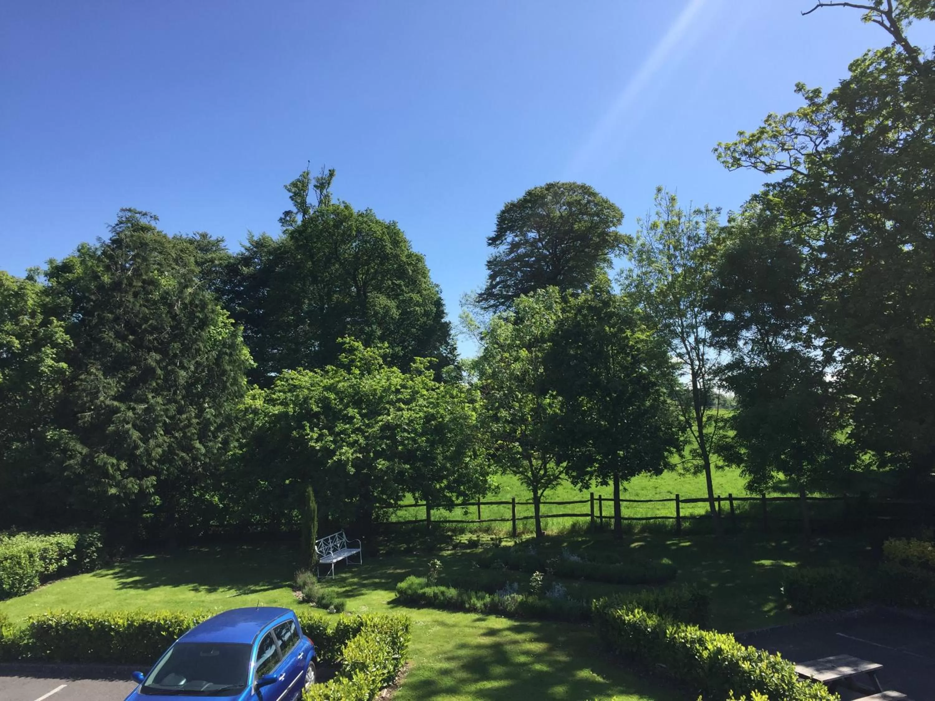 Day in The White Swan