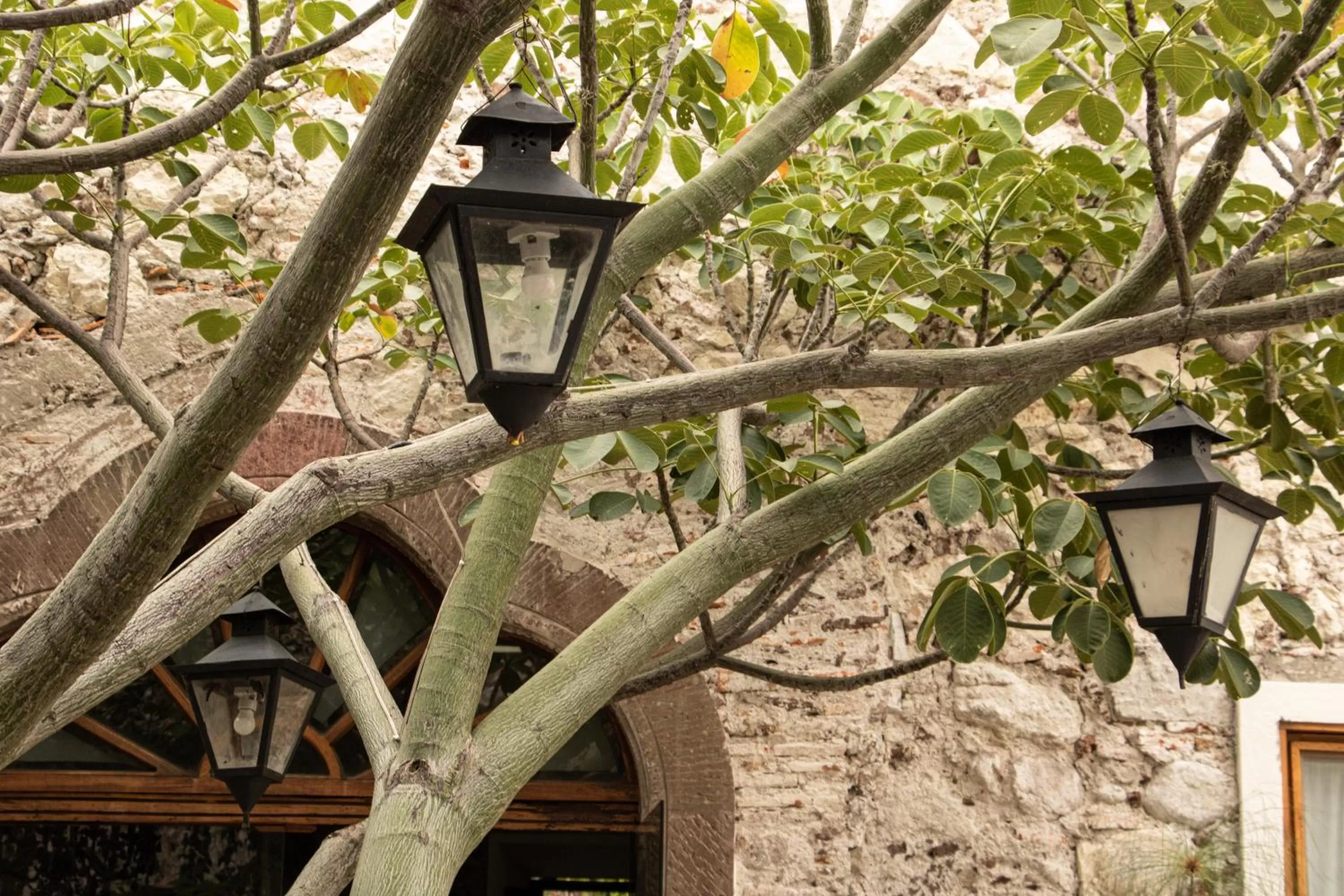 Garden view in Orchid House San Miguel de Allende