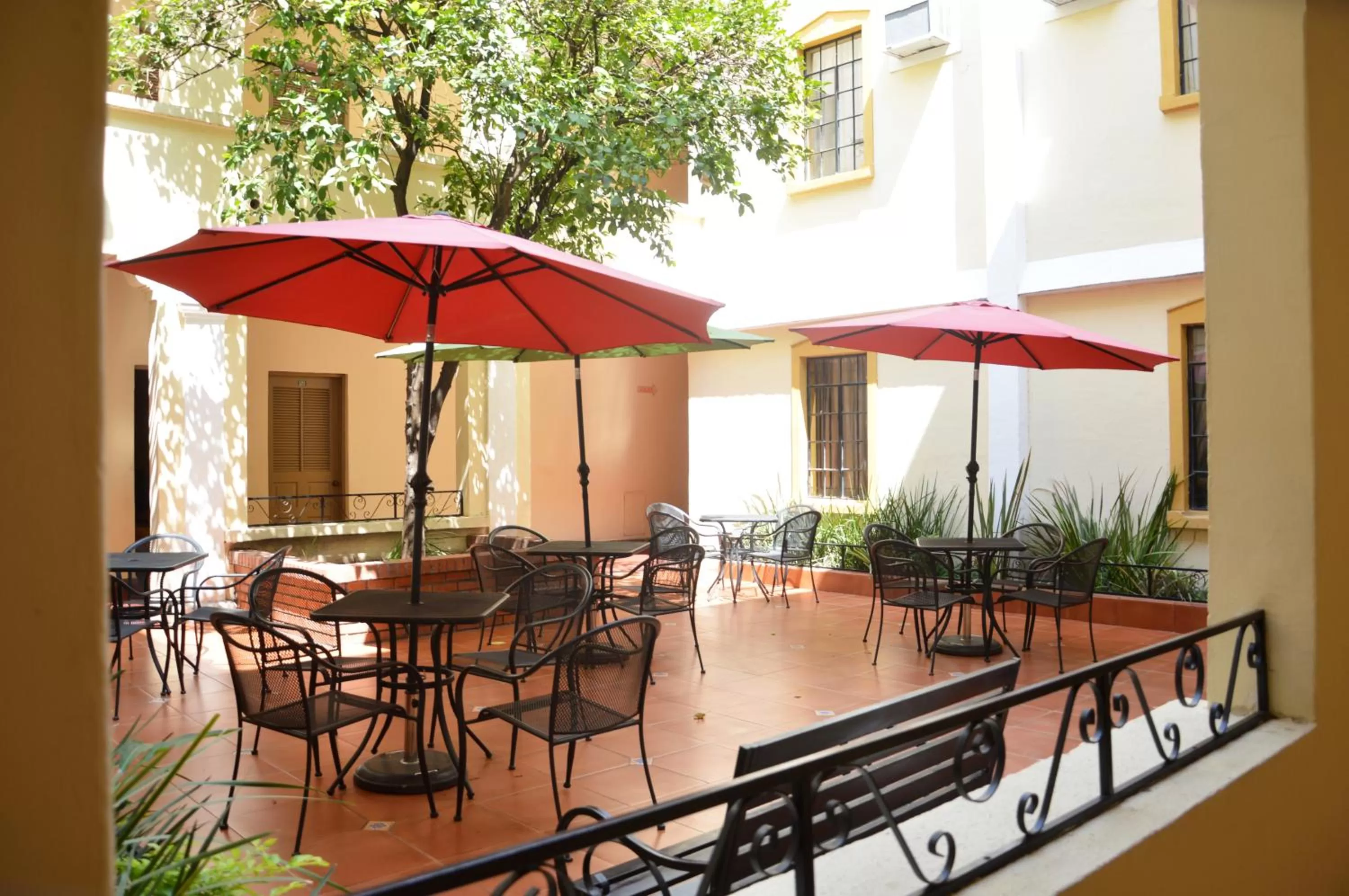 Garden in Hotel Los Monteros