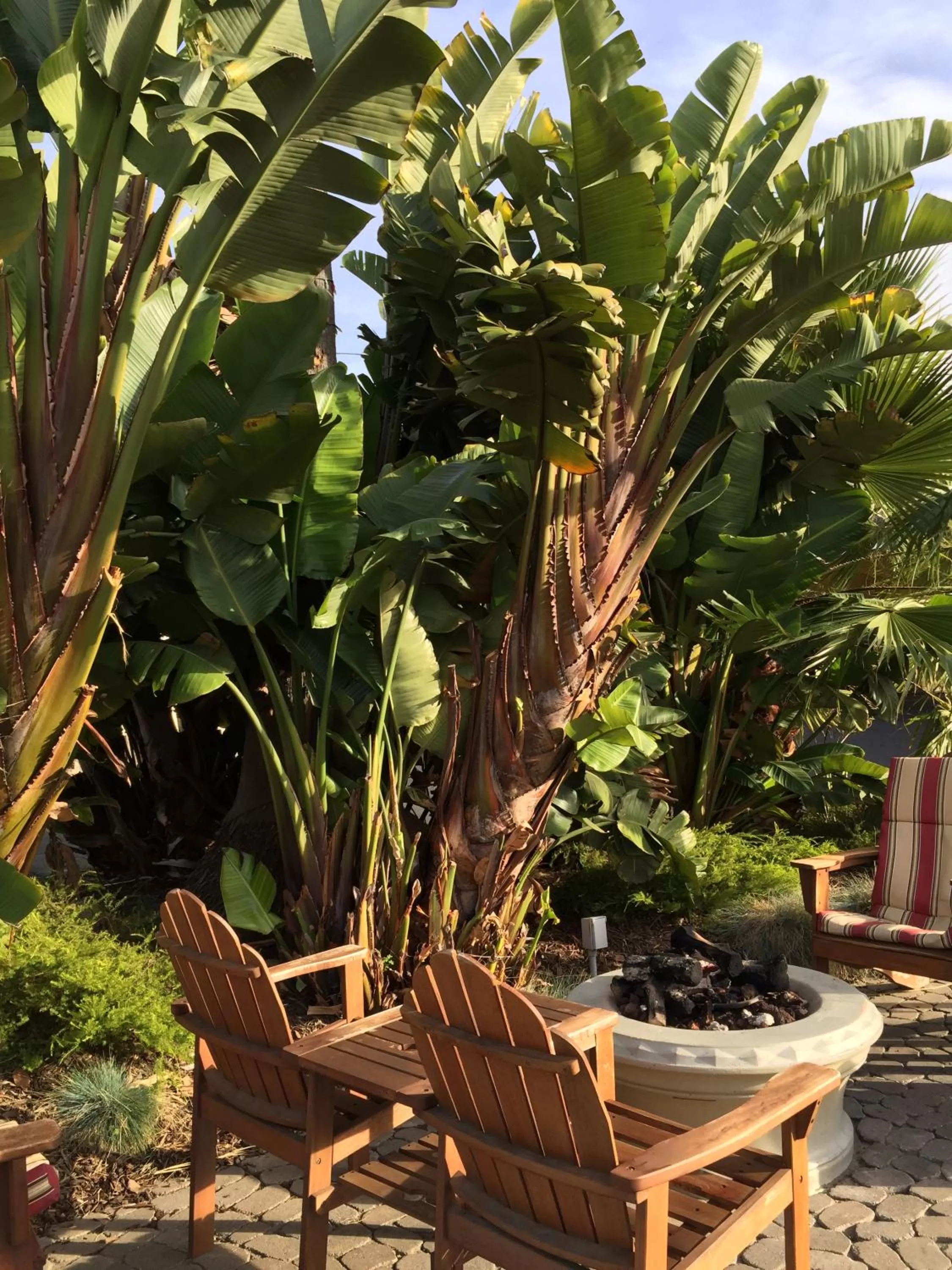 Patio in Beach Bungalow Inn and Suites