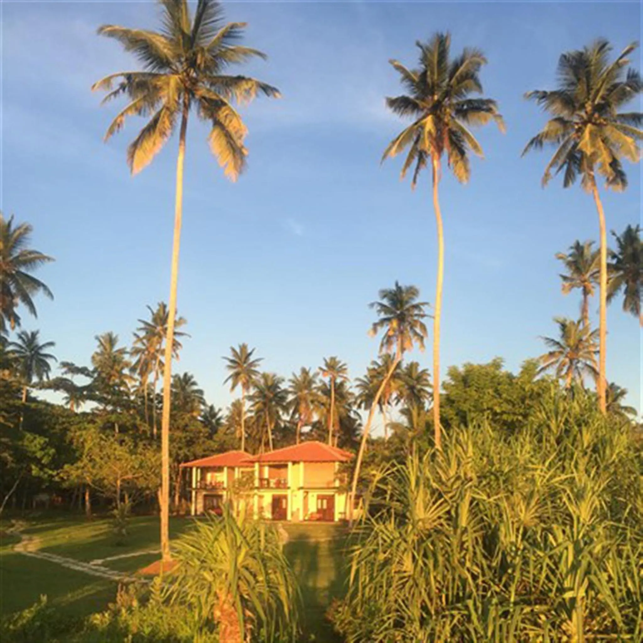 Double Room with Sea View - single occupancy in Talalla Retreat