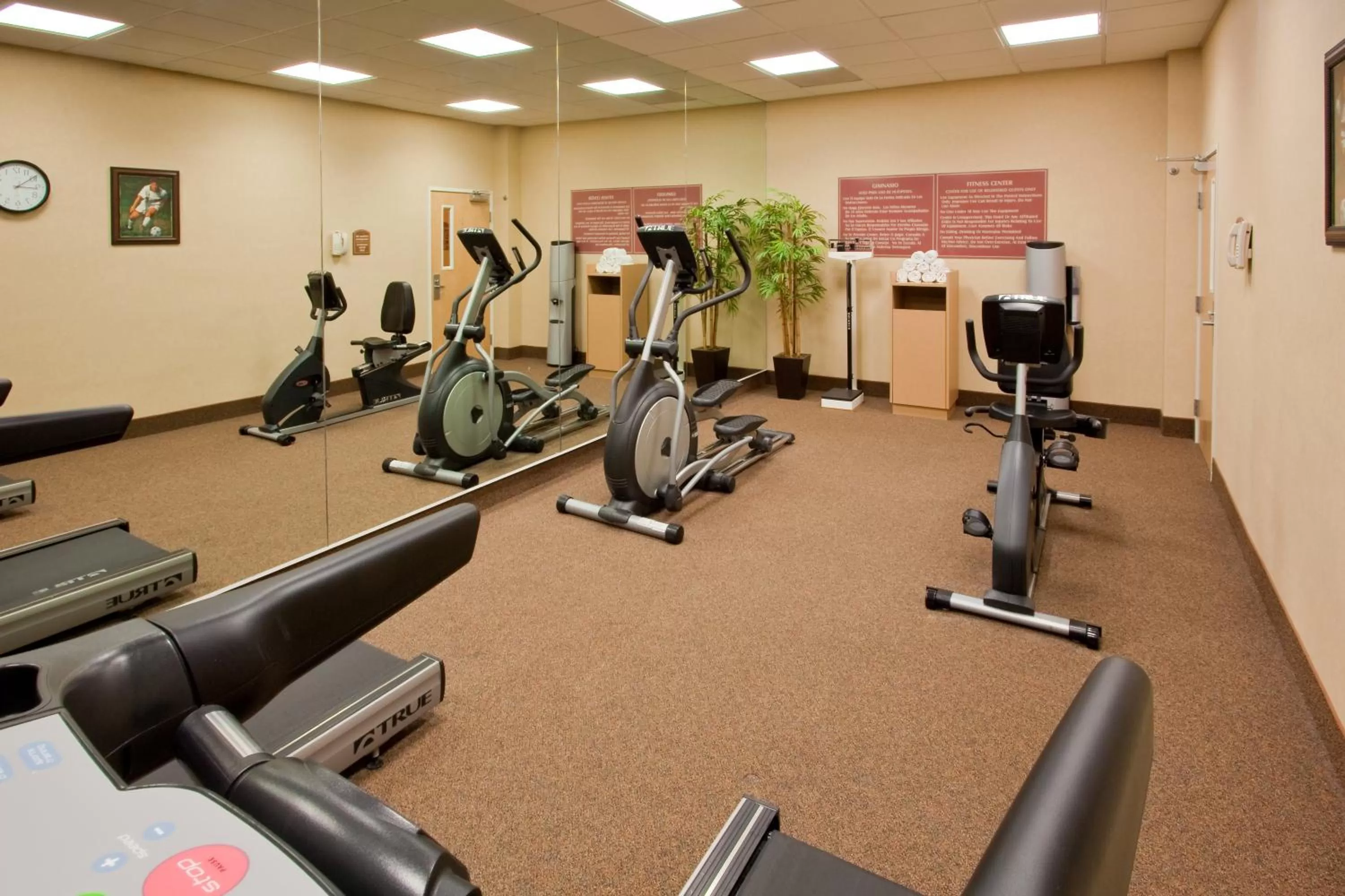 Fitness centre/facilities in Holiday Inn Express Saltillo Zona Aeropuerto by IHG