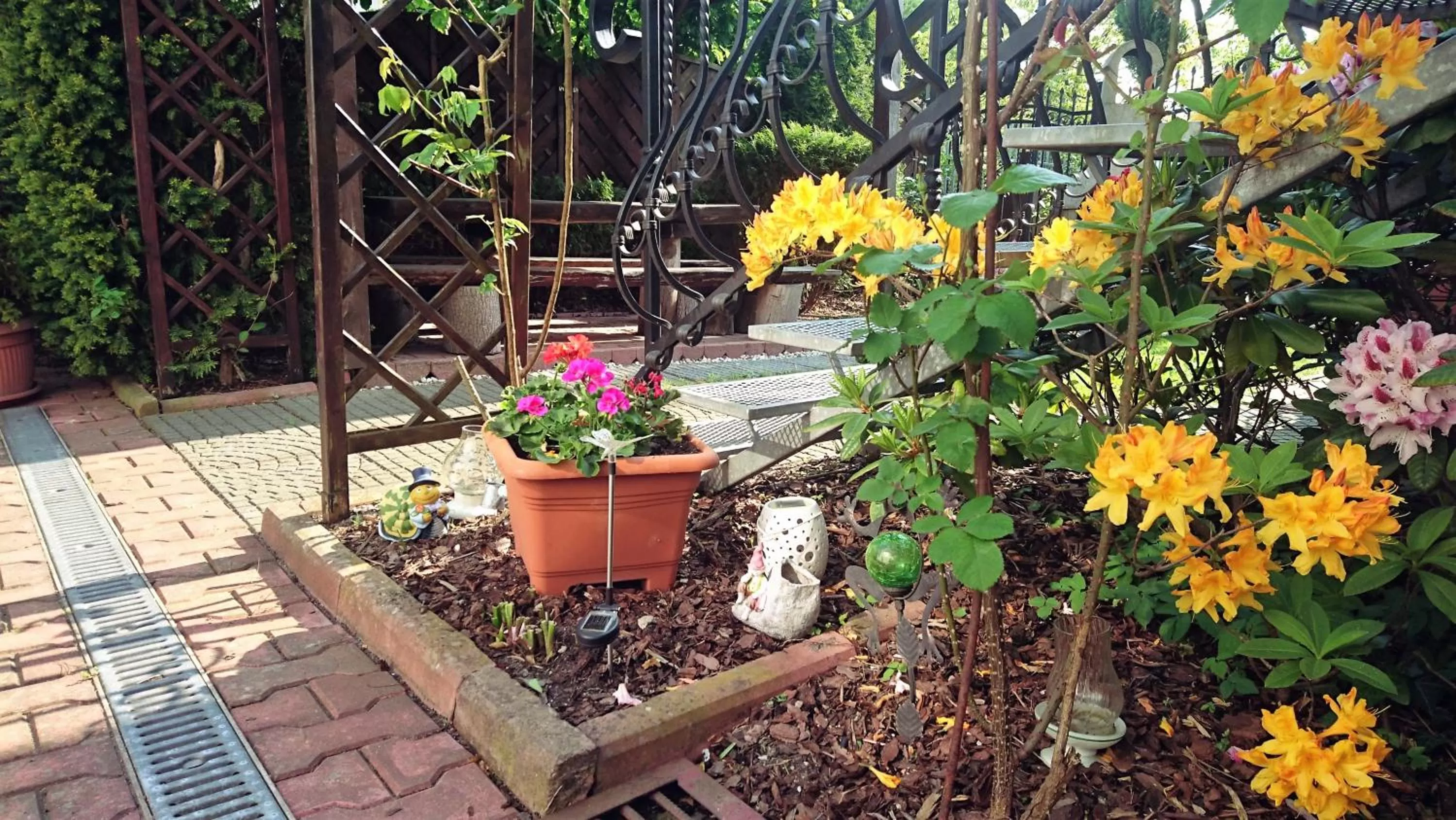 Garden in Willa Sarenka