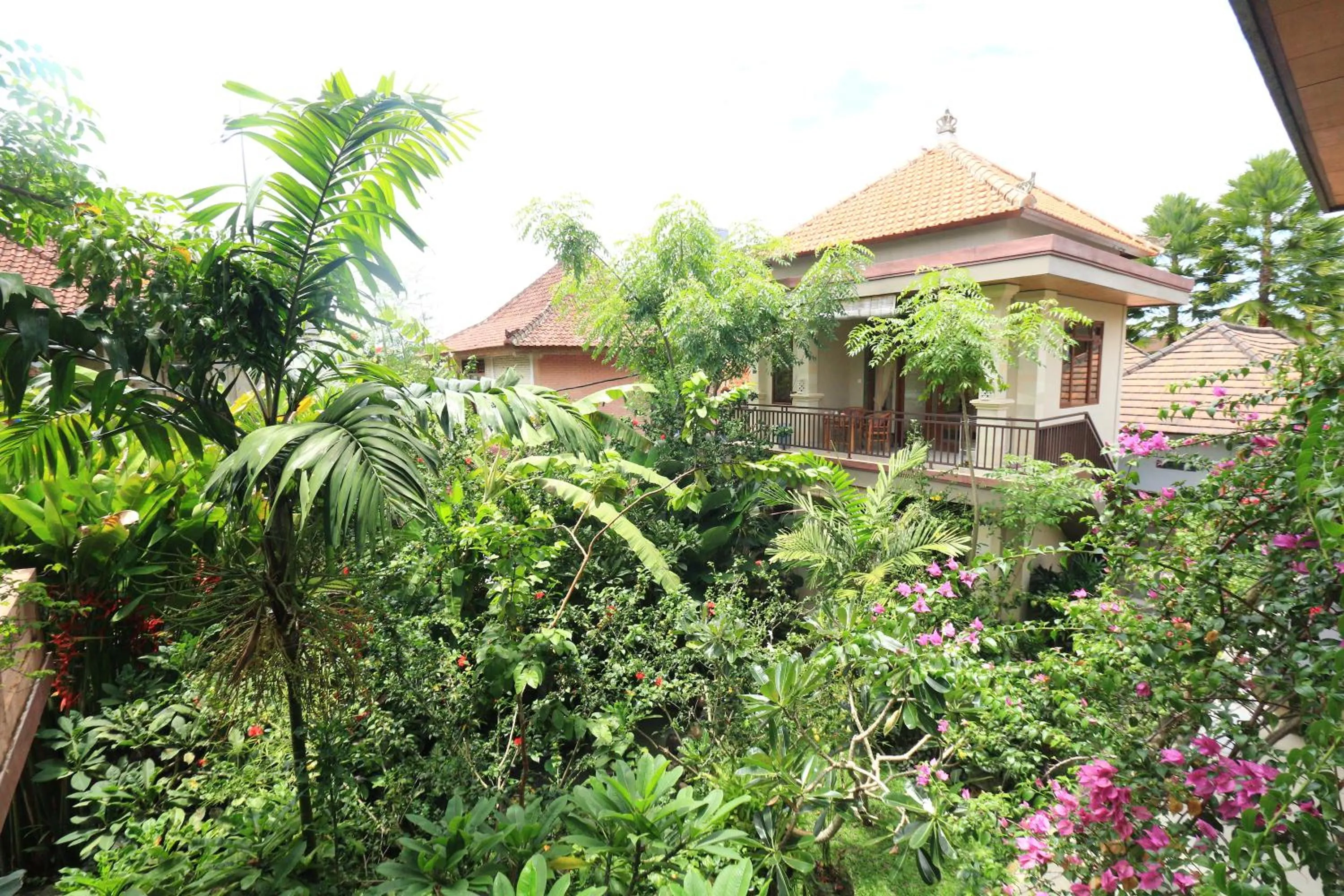 Garden in Frangipani Bungalow