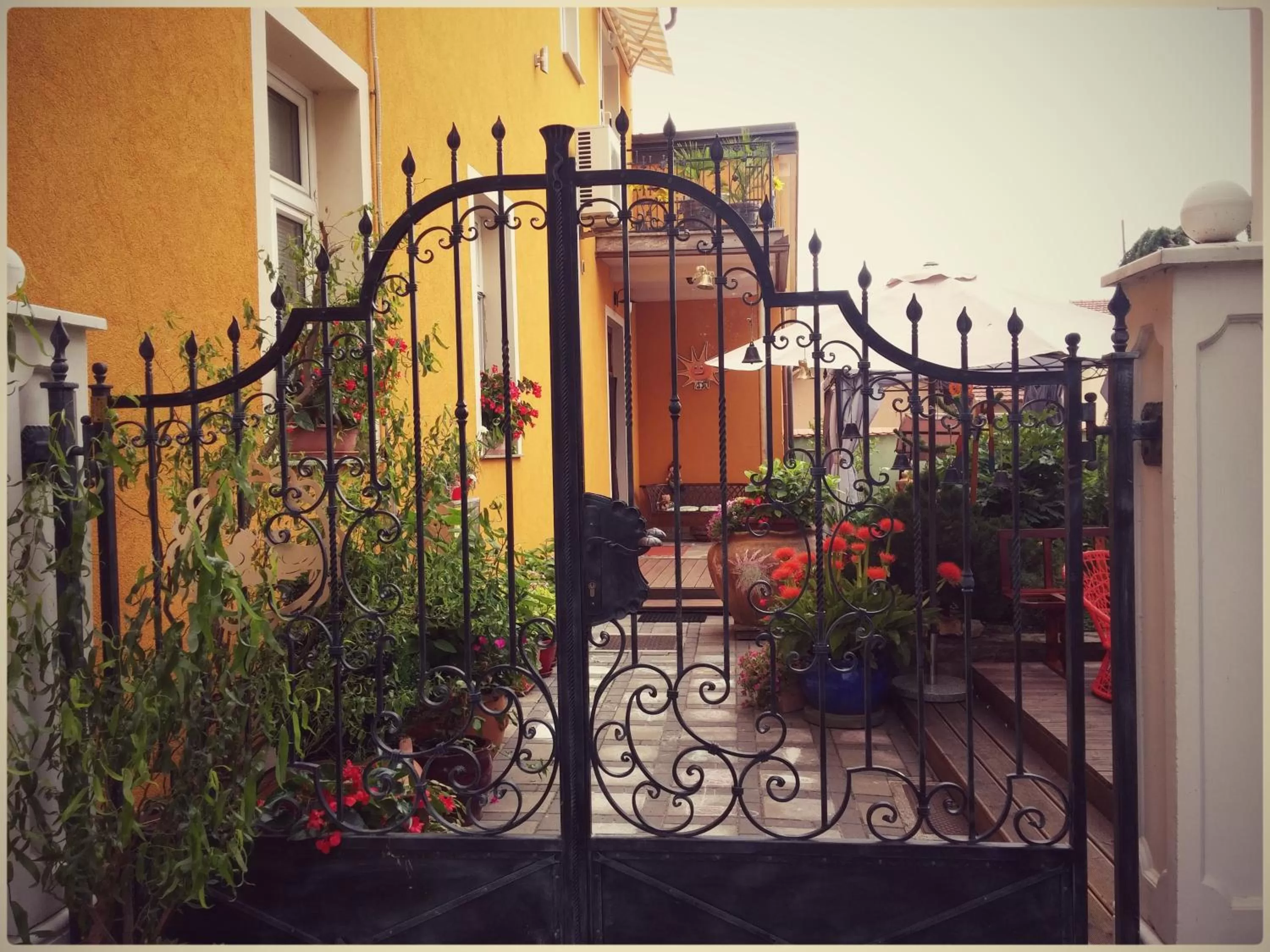 Garden in Hostel Sonce