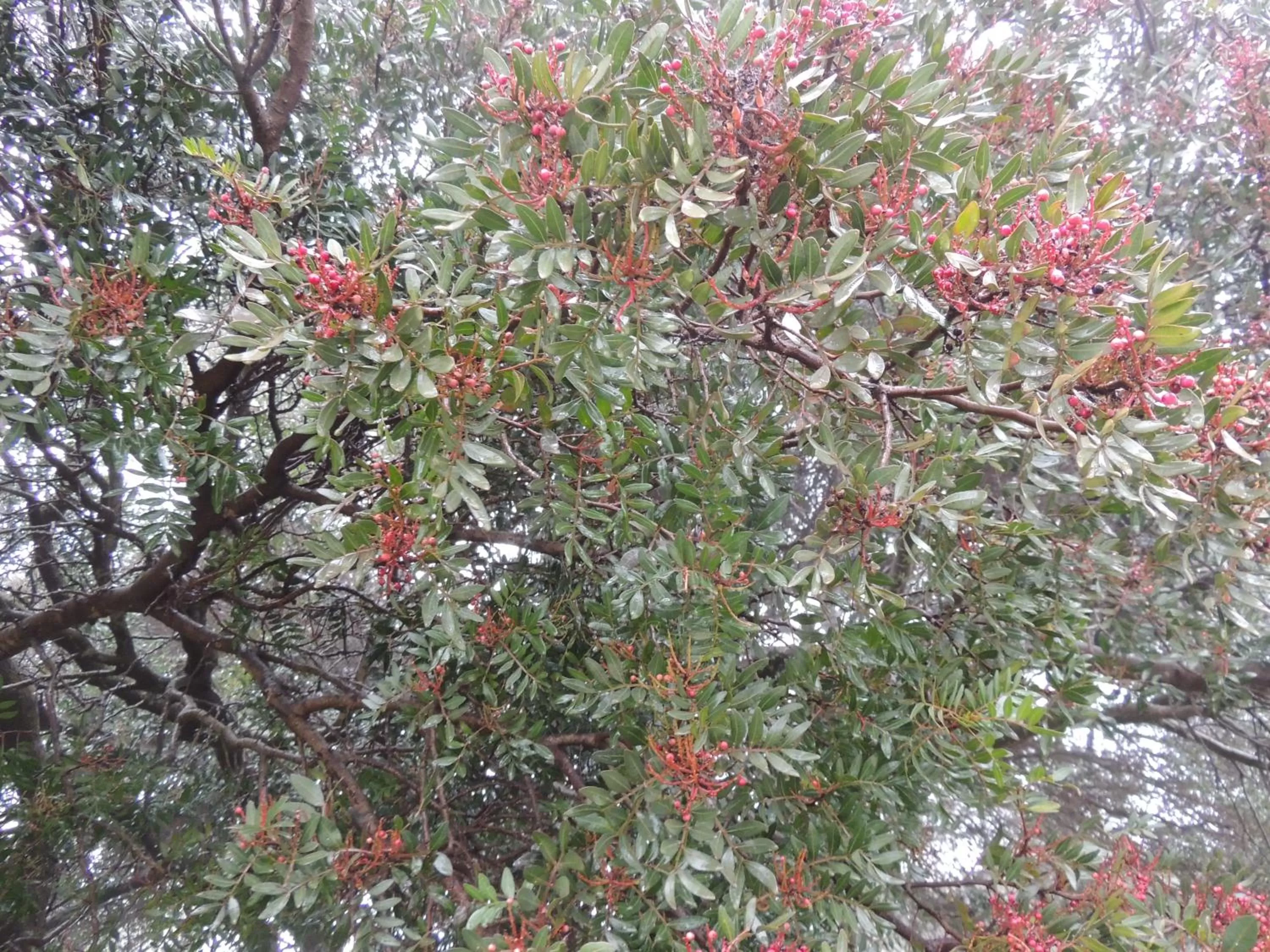 Spring in Tenute Efis