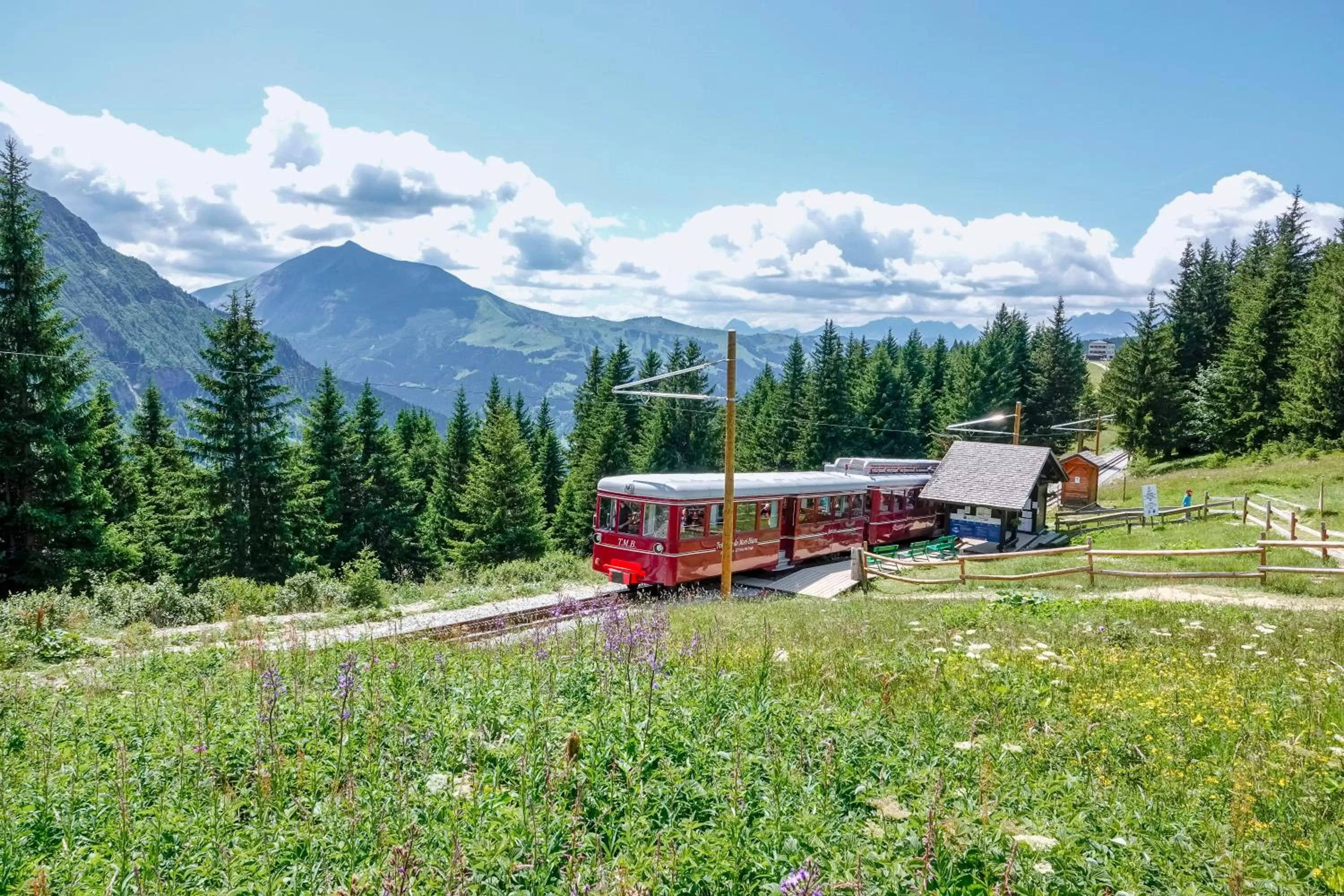 Neighbourhood in SOWELL HOTELS Mont Blanc et SPA