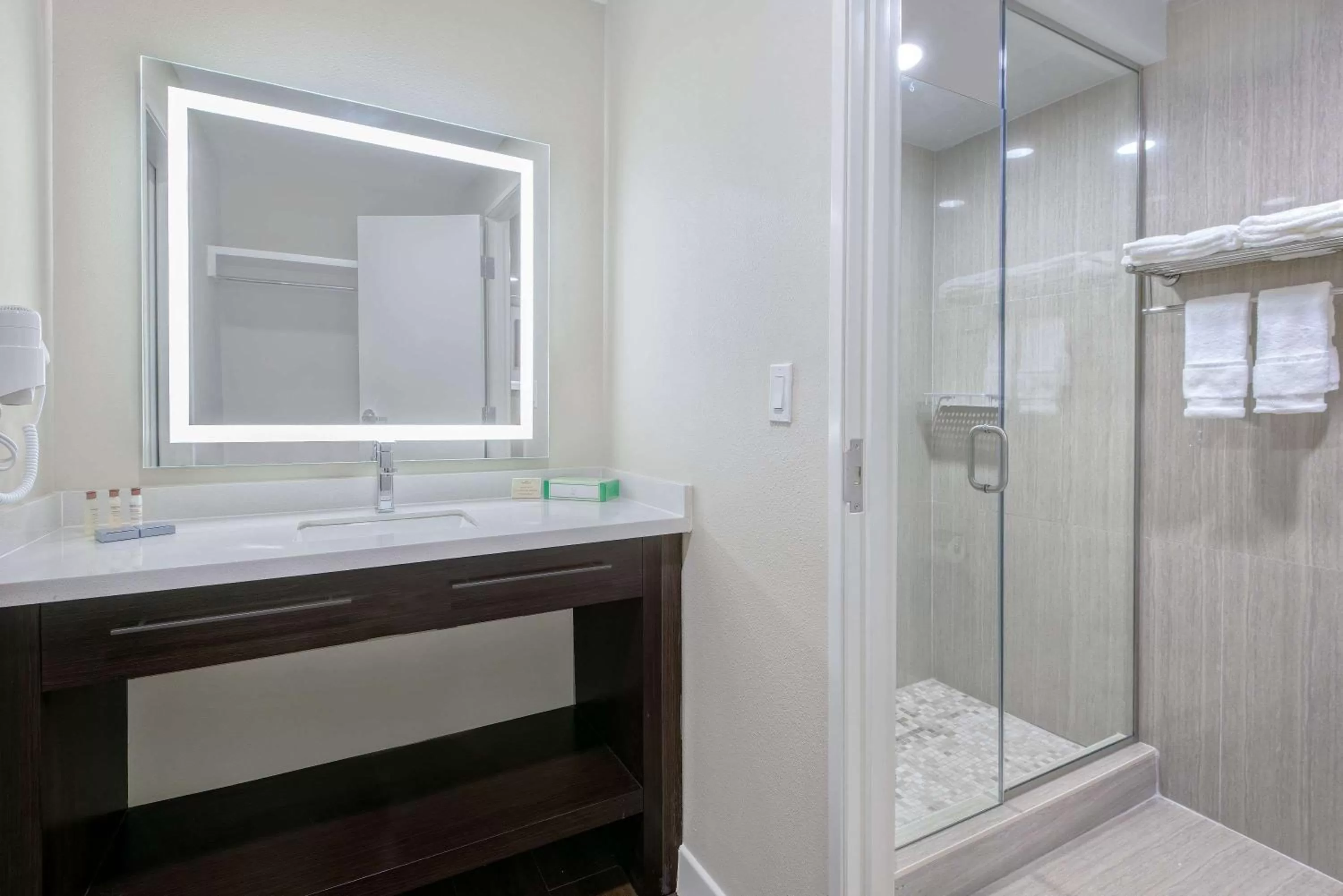 Bathroom in Hawthorn Extended Stay by Wyndham McAllen