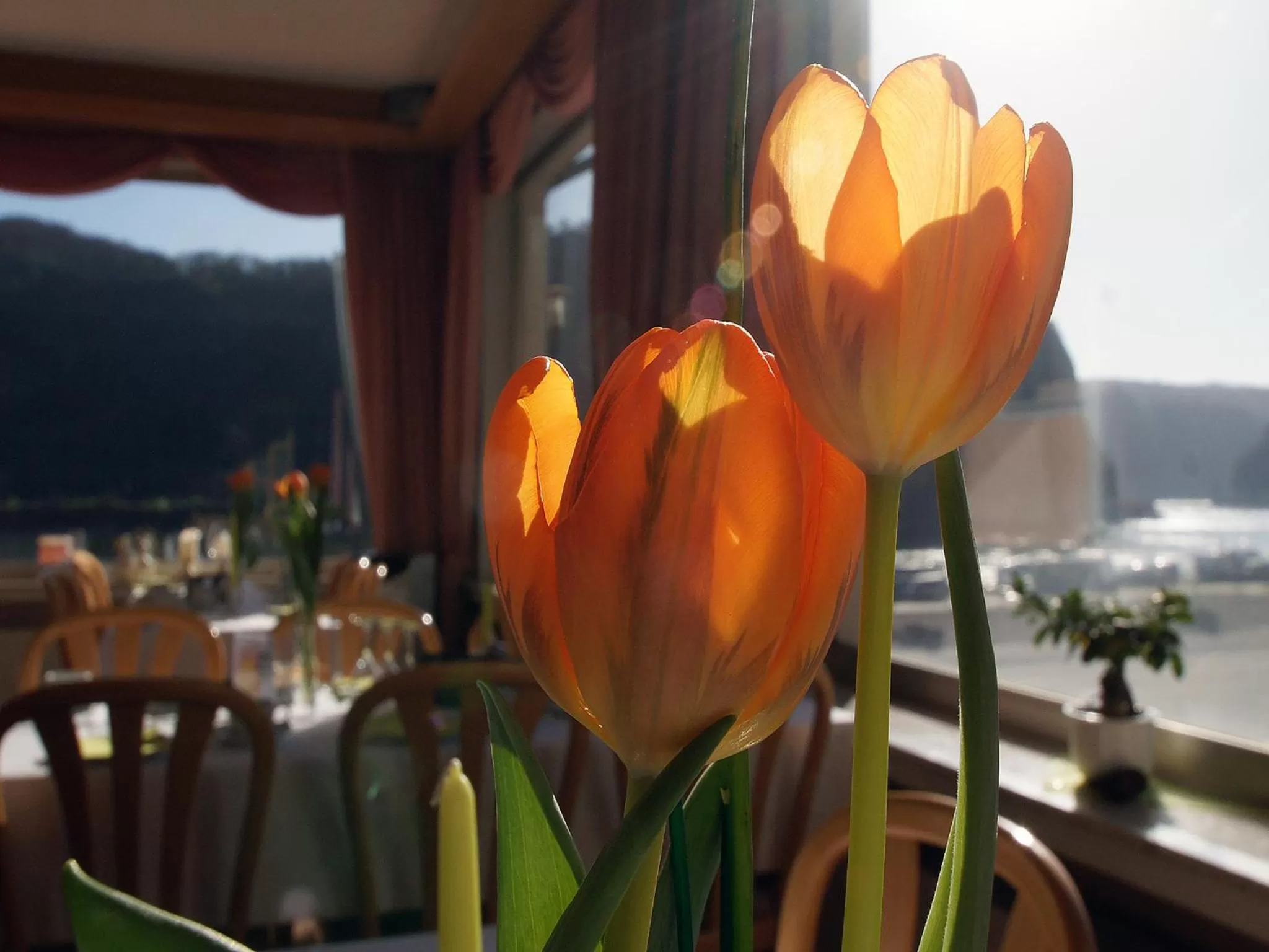 Restaurant/places to eat in Hotel Cafe Restaurant Loreleyblick