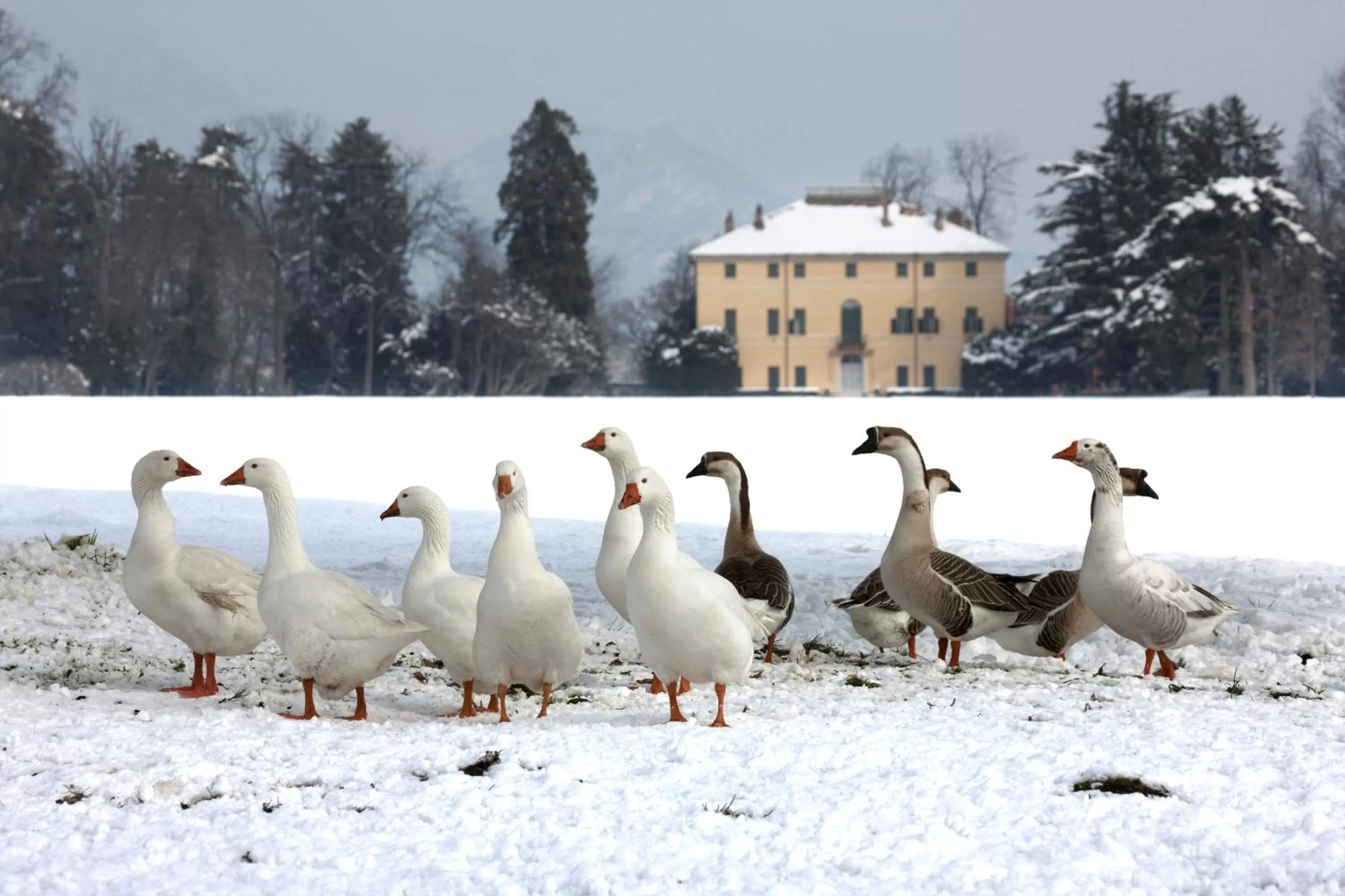 Facade/entrance in Agriturismo Il Torrione
