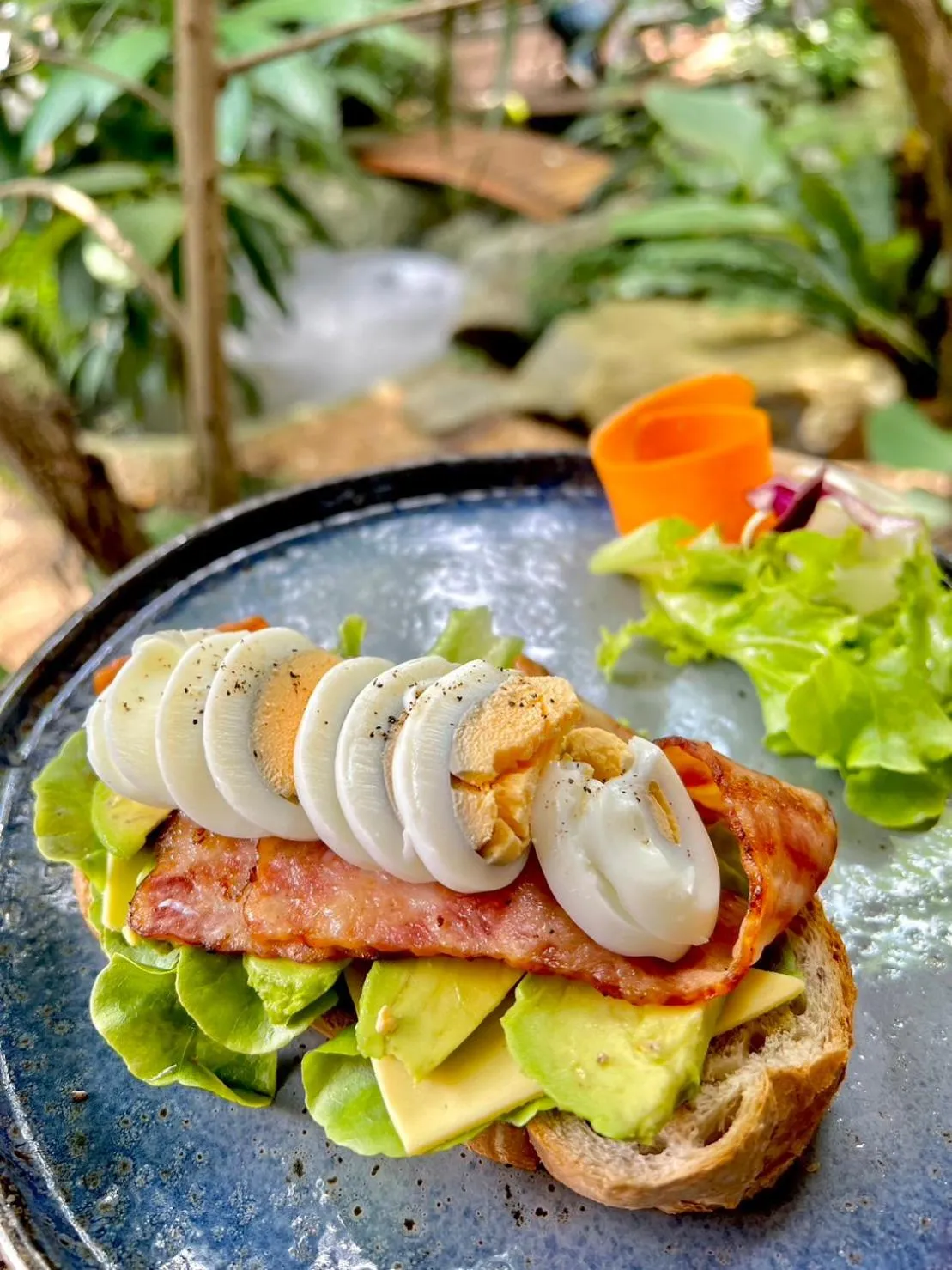 Food in Flora Ville-SHA PLUS