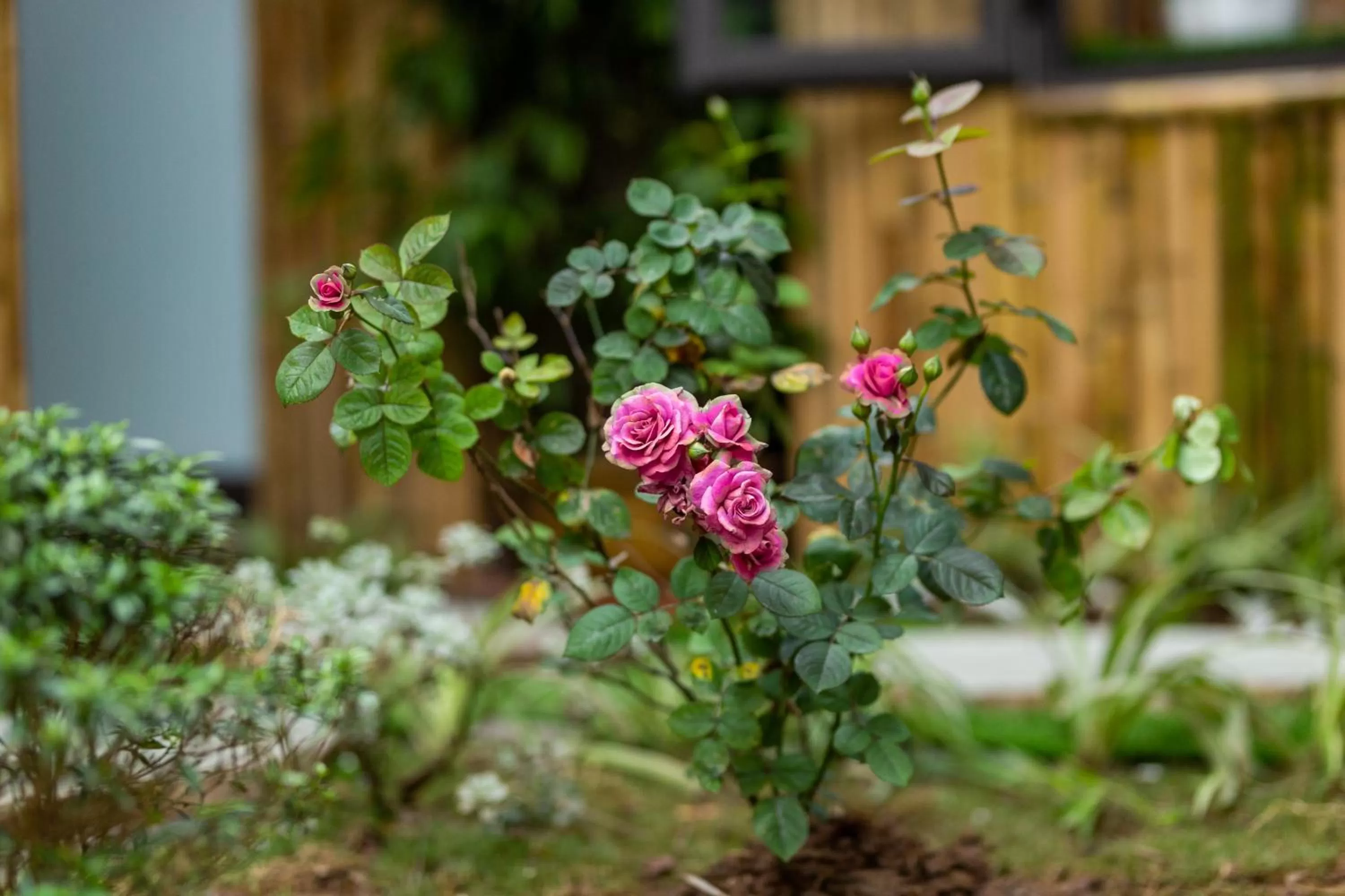 Property building in Trang An Moon Garden Homestay