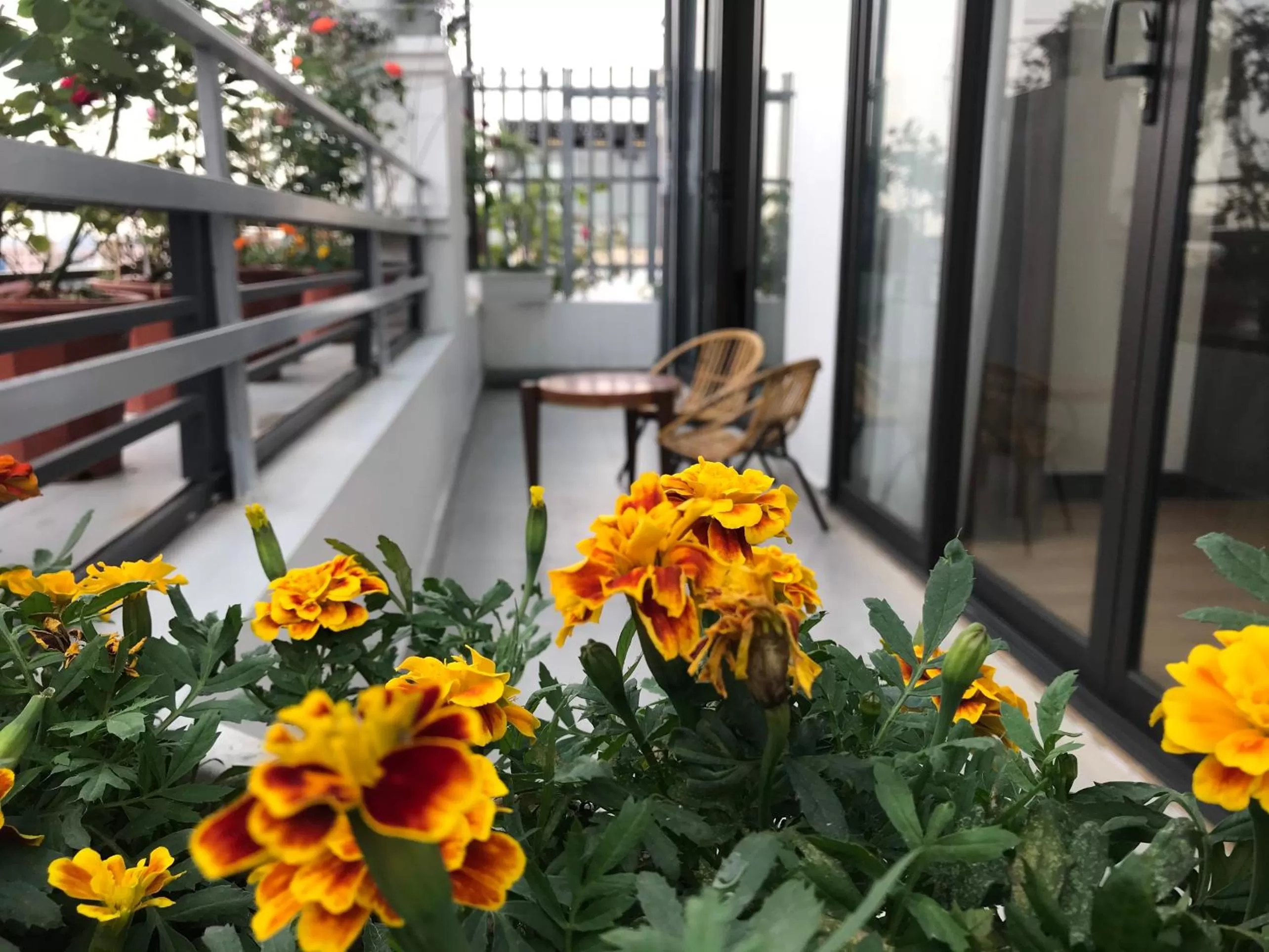 Garden in Elysinam Boutique Hotel Ha Long