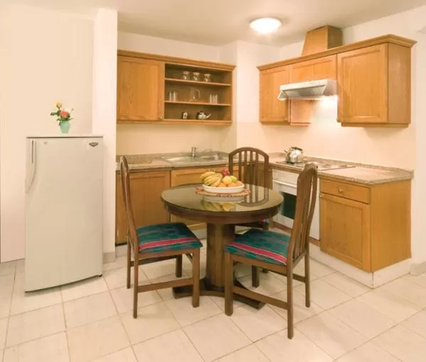Kitchen or kitchenette in Delmon Suites