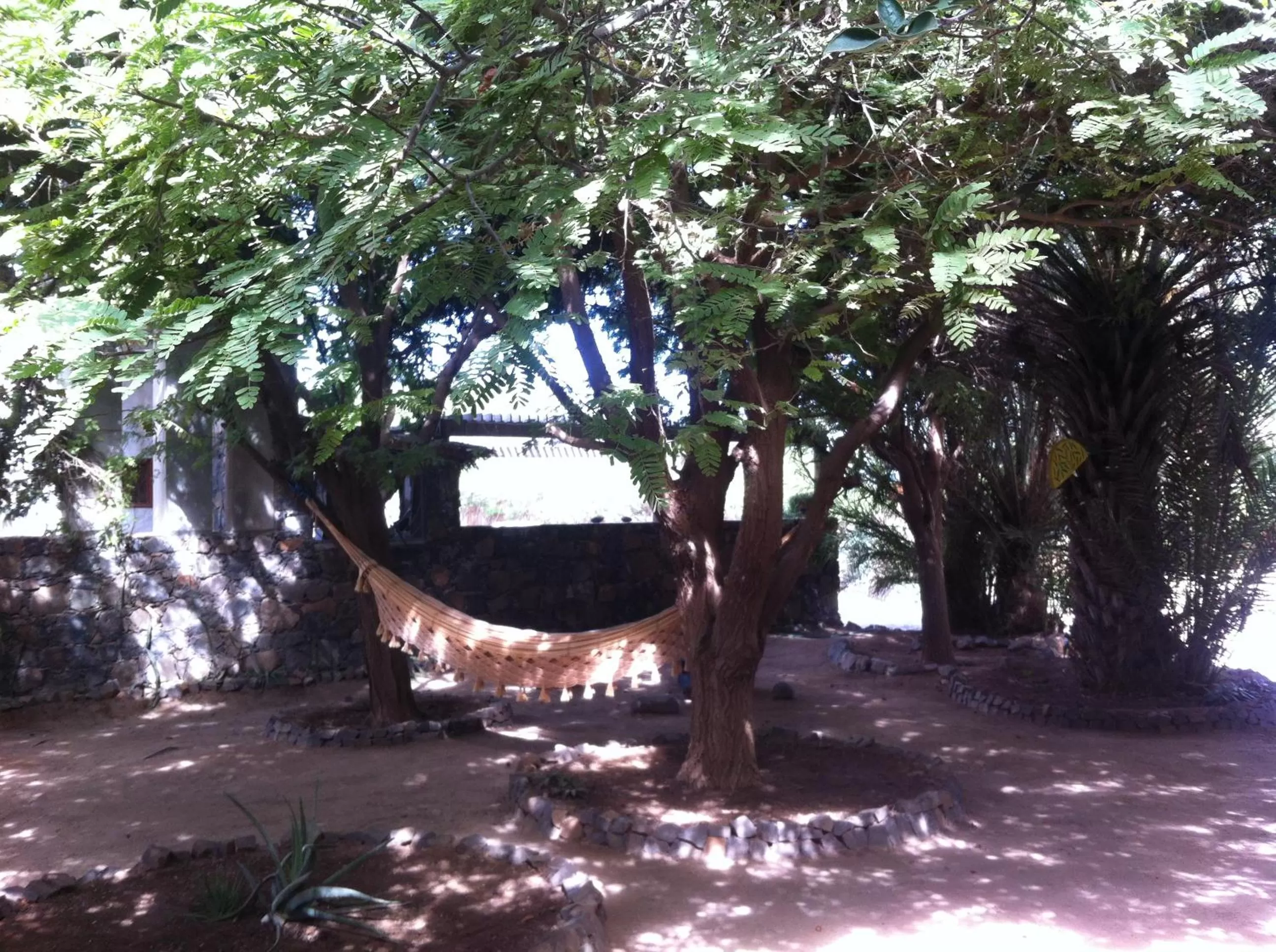 Day in Villa Morabeza Guest House