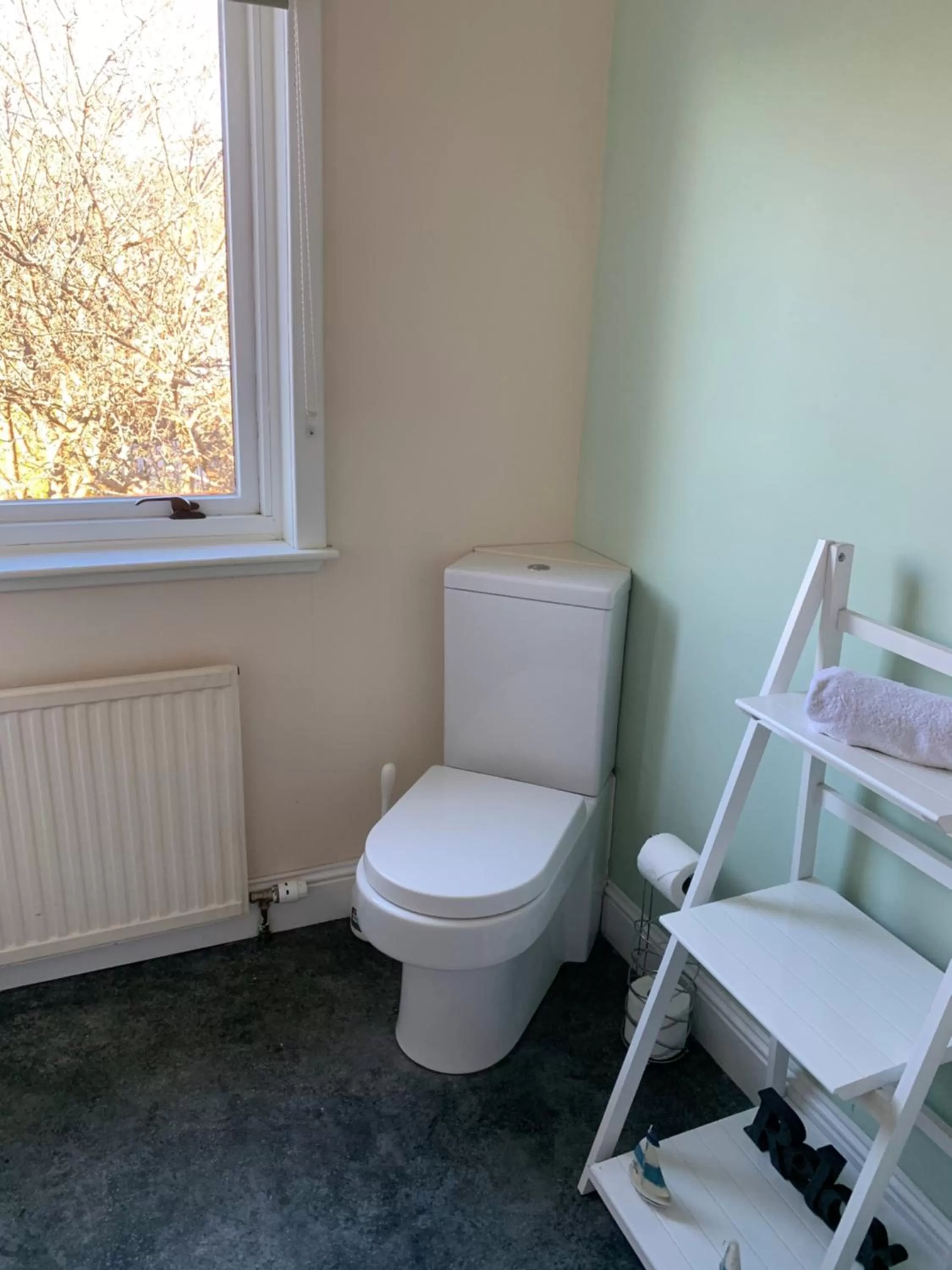 Toilet in The Ship Inn