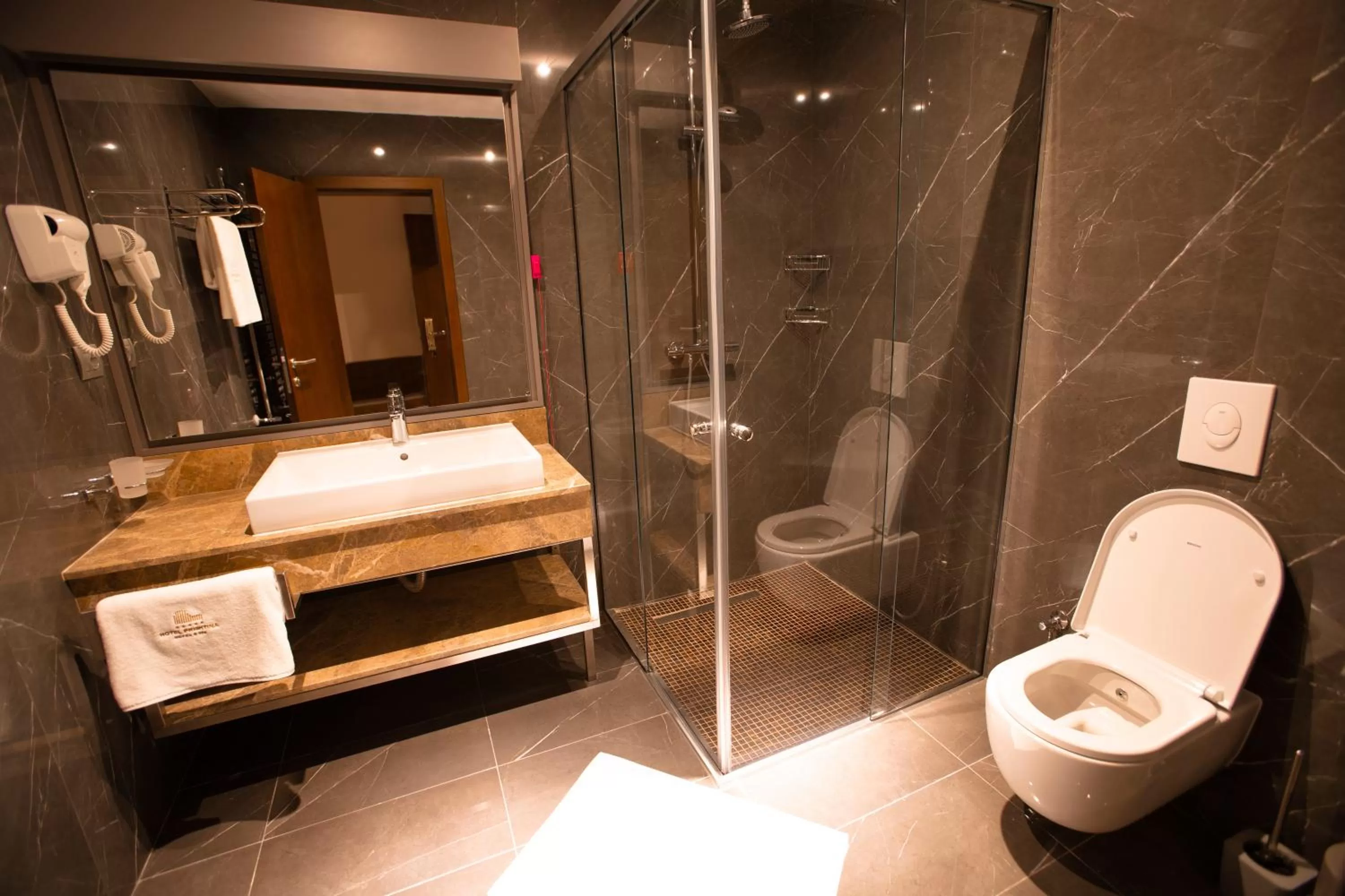 Other in Hotel Prishtina