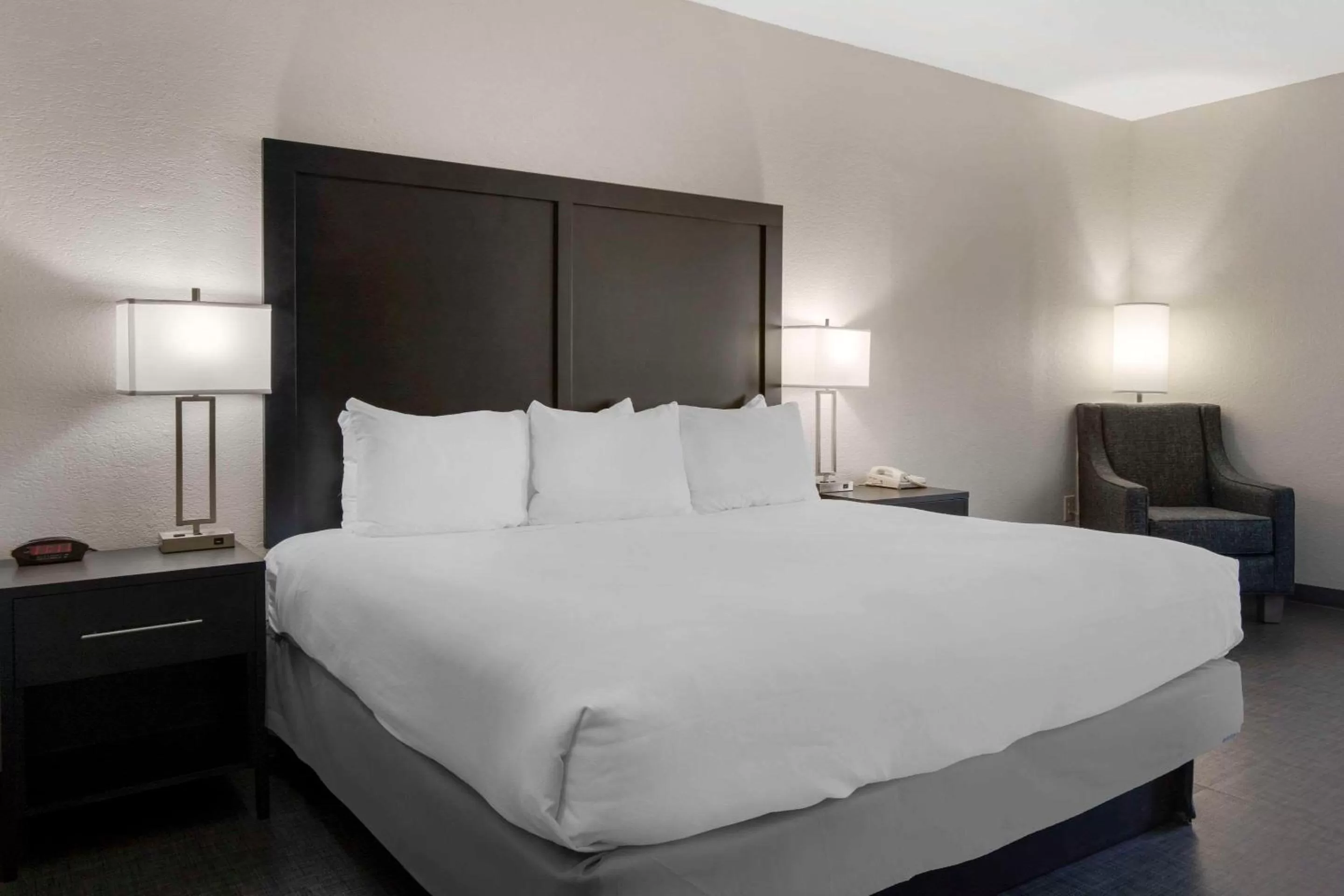 Standard King Room - Non-Smoking  in Comfort Inn & Suites Greer - Greenville