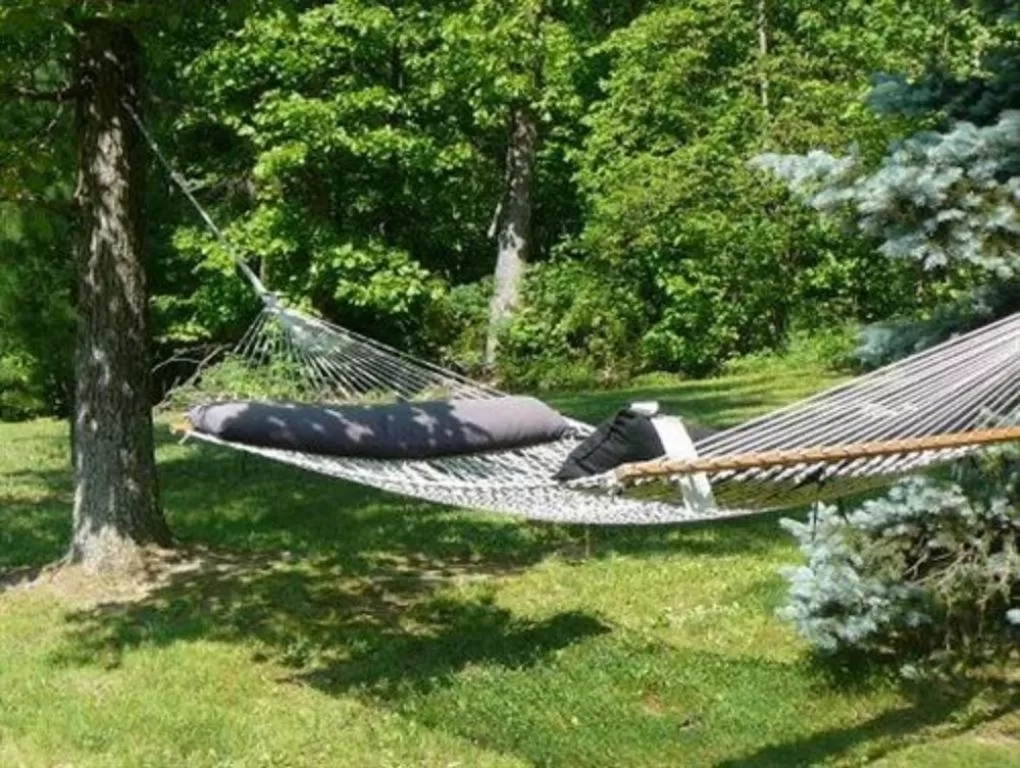 Other in Lil Black Bear Inn