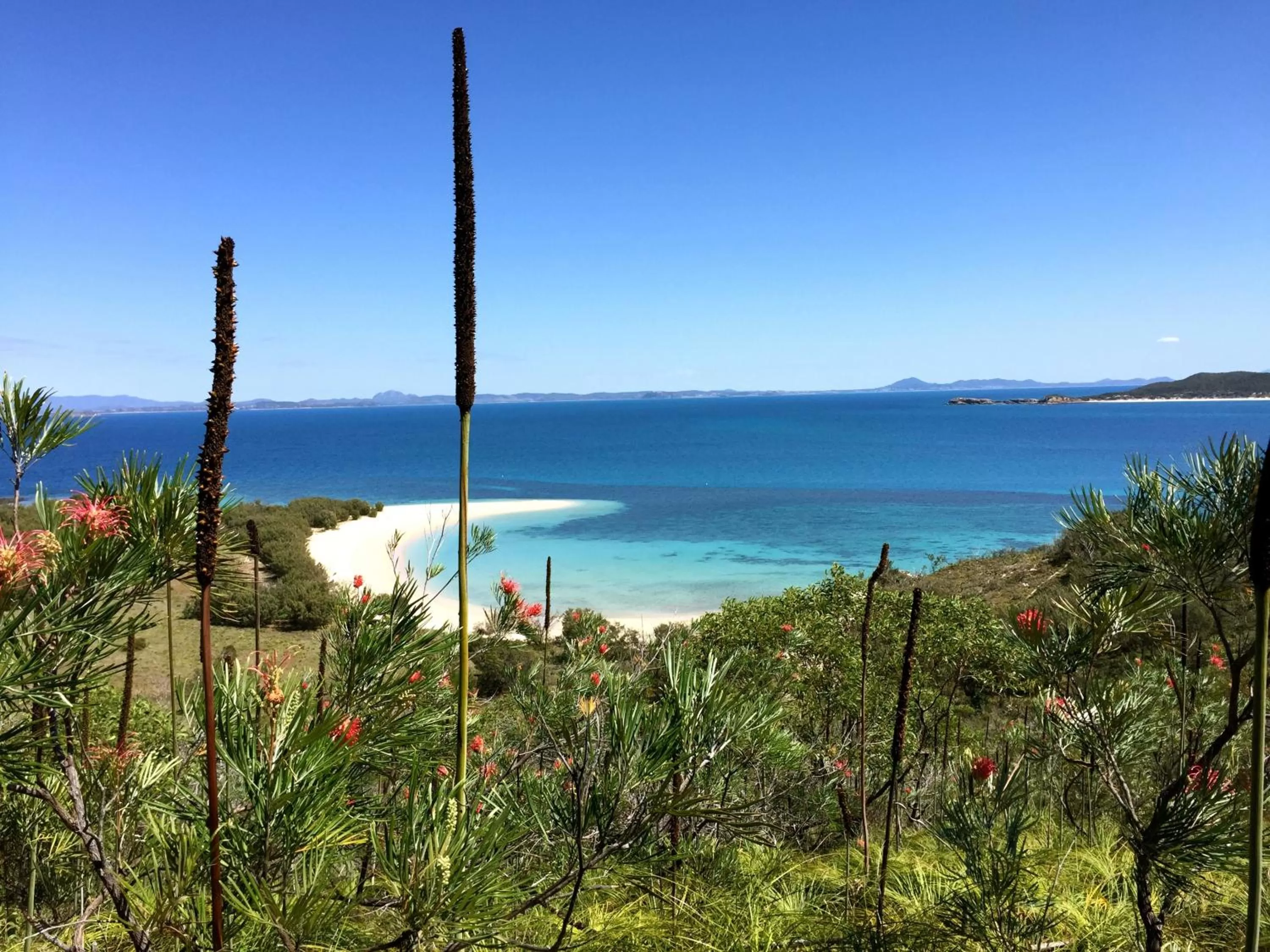 Fishing in Coral Inn Boutique Motel