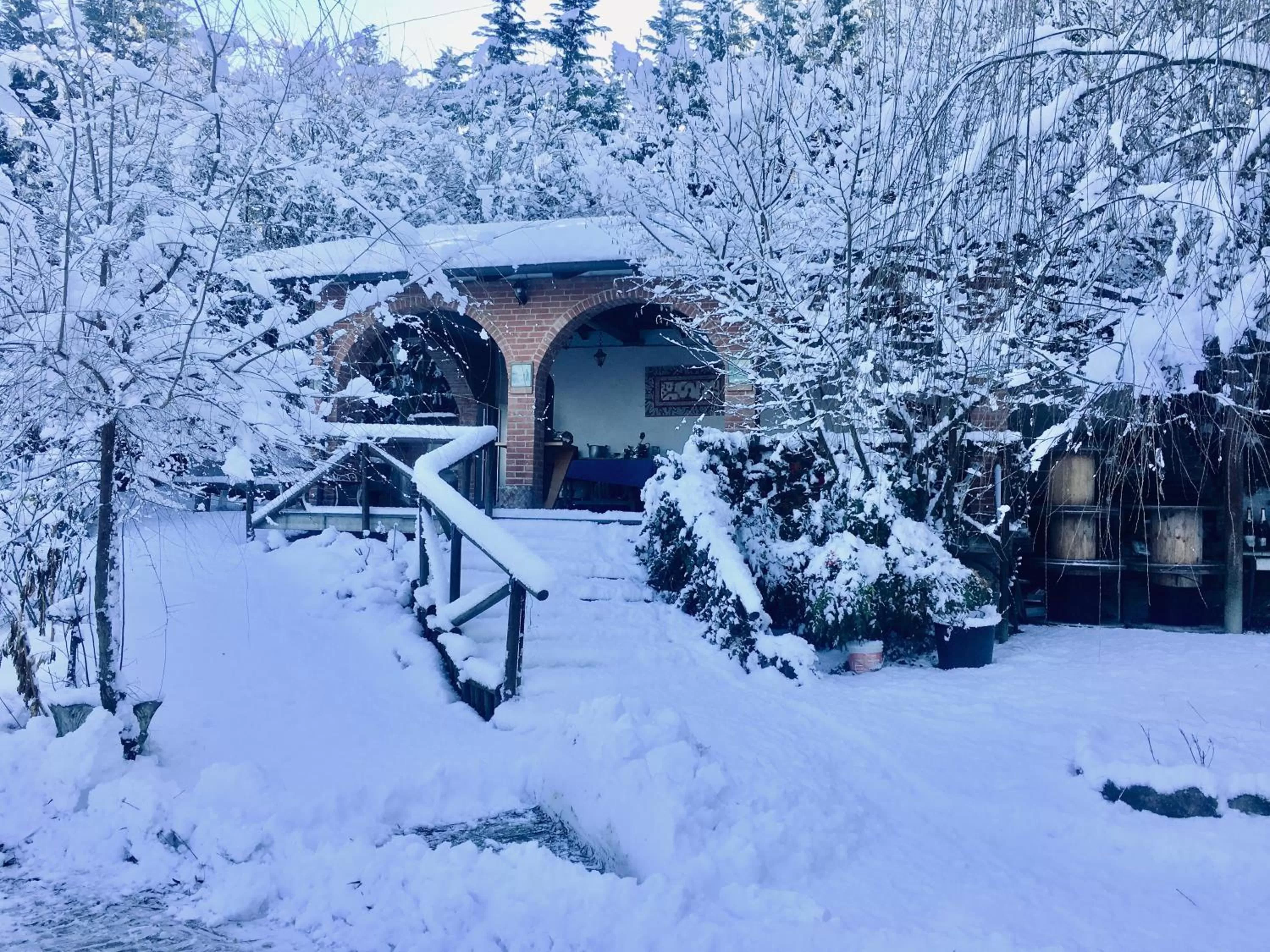 Rossella alla Villarella dei Tulipani