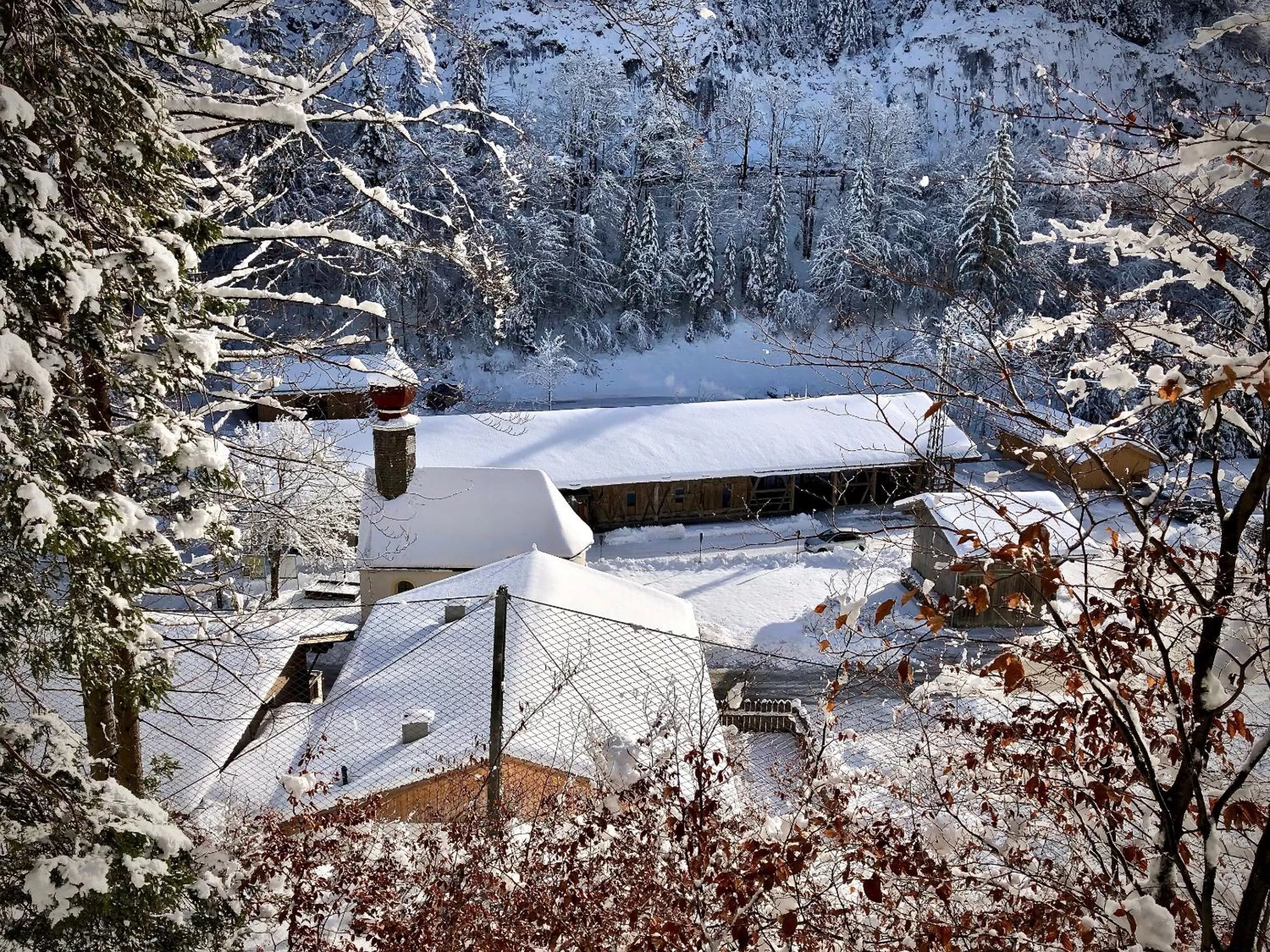 Restaurant/places to eat in Gasthof Salzstadl