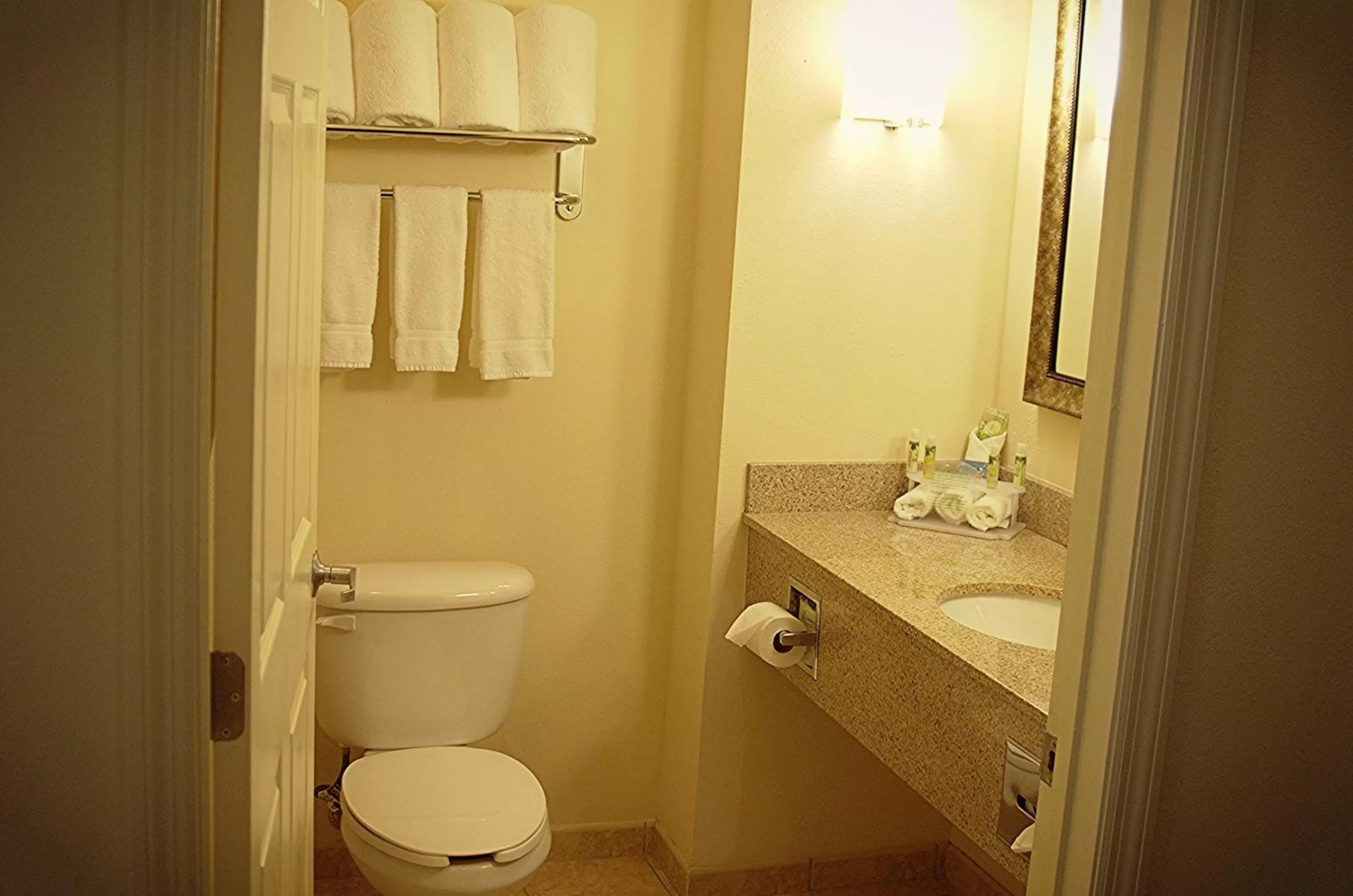 Toilet in Holiday Inn Express DeFuniak Springs by IHG