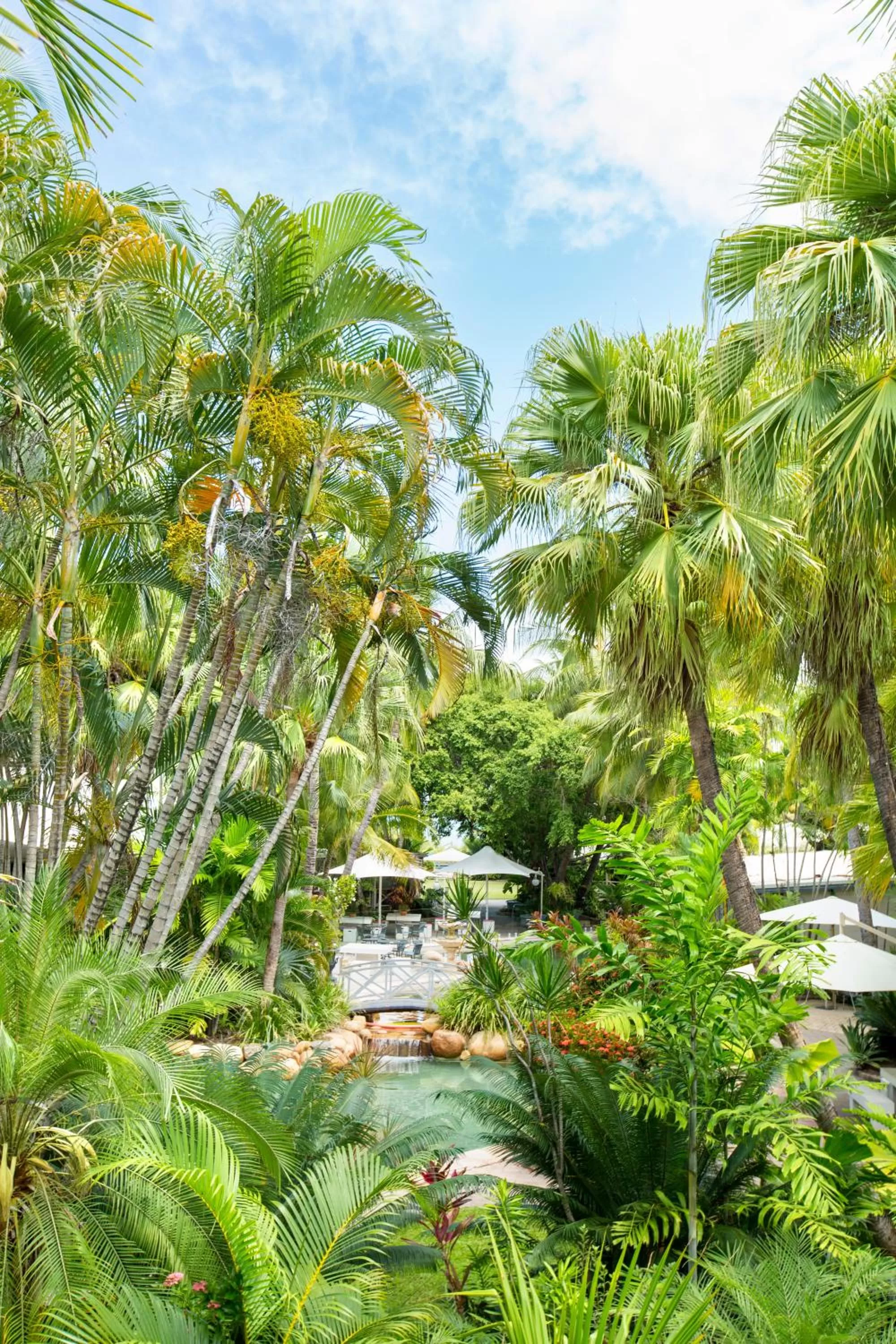 Bird's eye view in Seahaven Resort