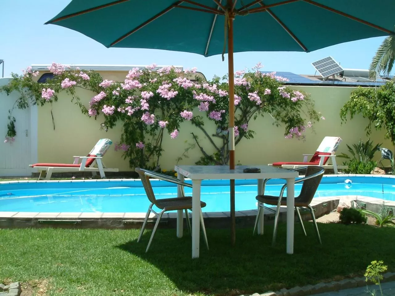 Swimming pool in Pension d'Avignon