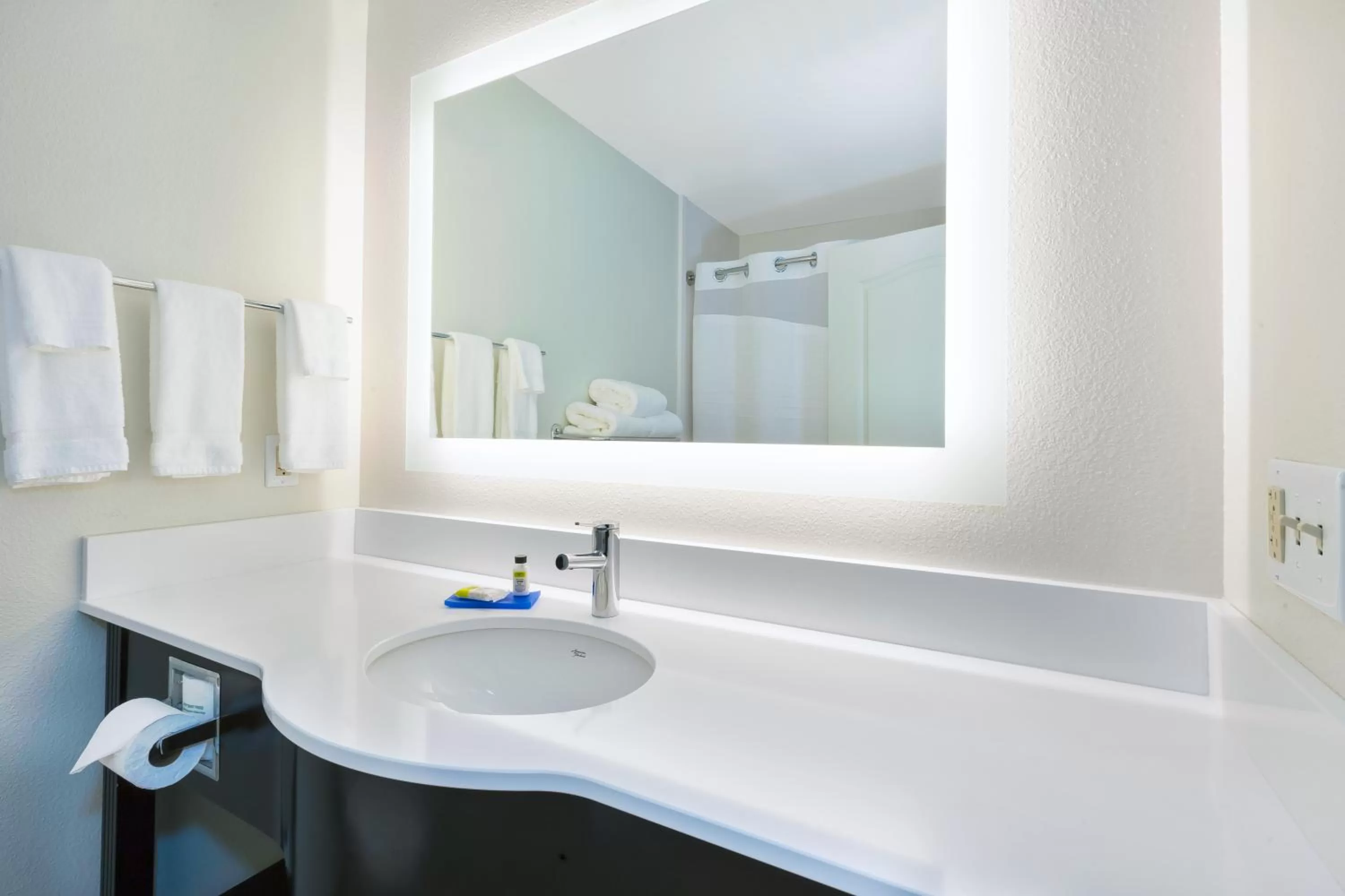 Bathroom in Holiday Inn Express & Suites - Effingham by IHG