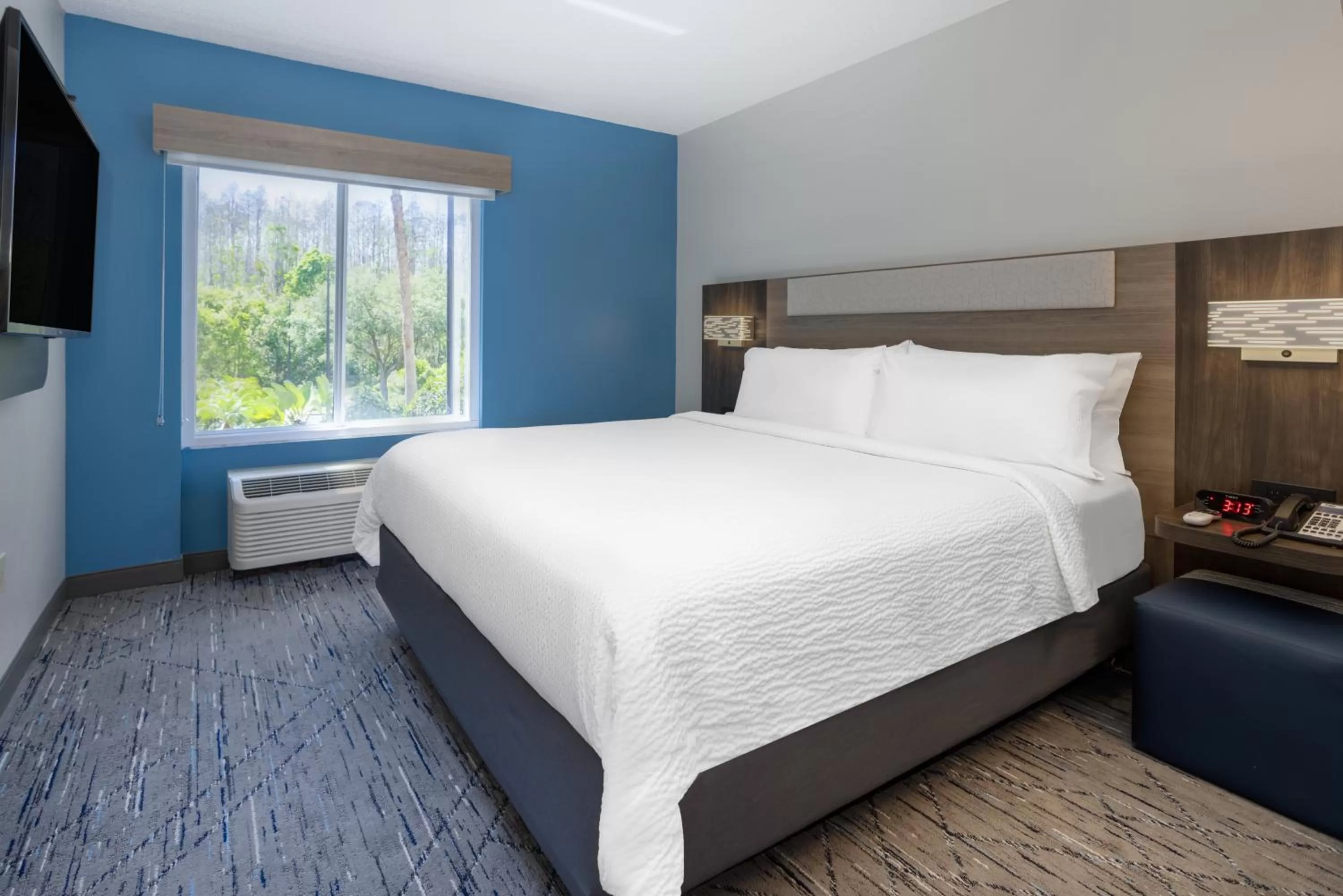 Bedroom, Bed in Holiday Inn Express and Suites Tampa I-75 at Bruce B. Downs by IHG