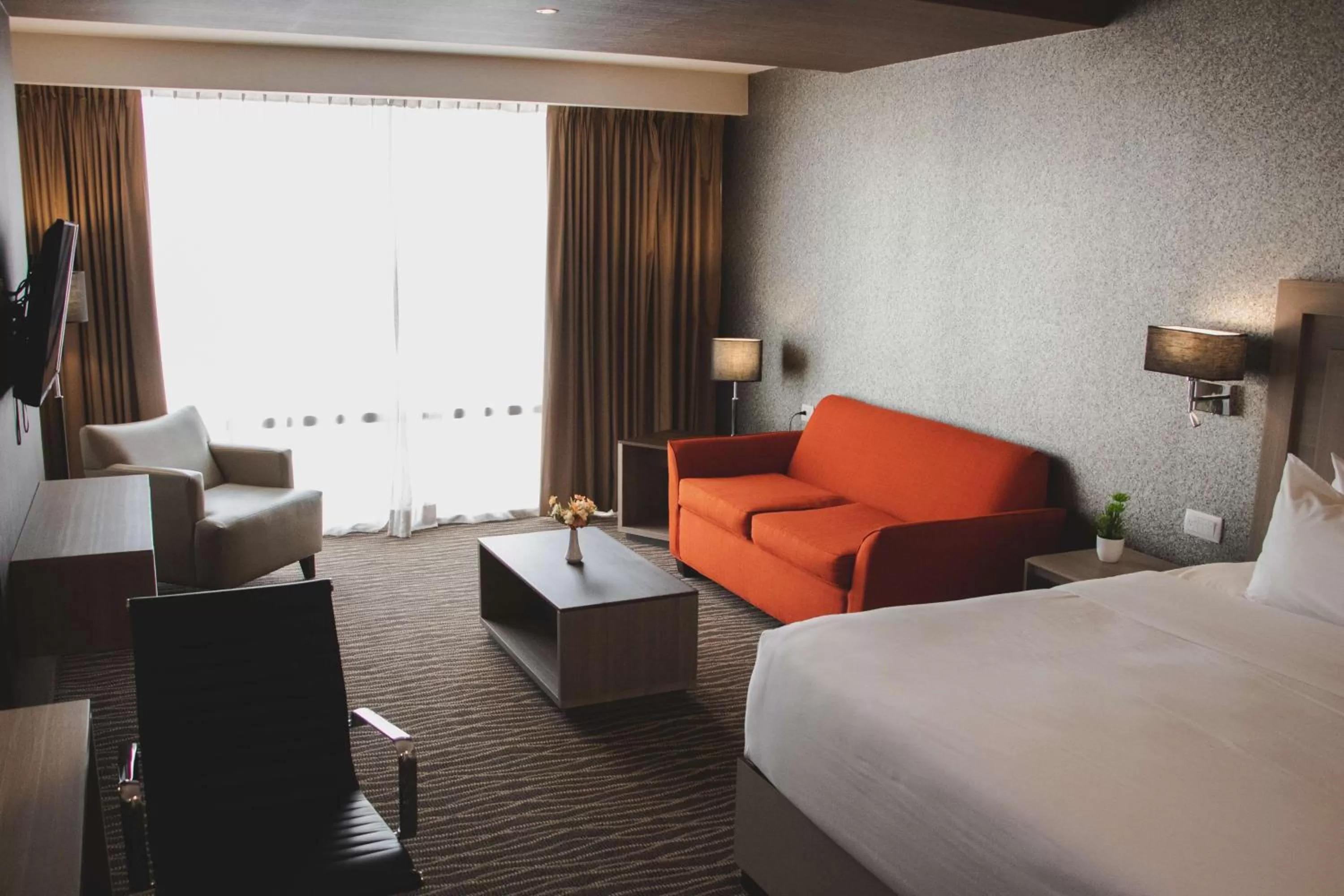 Living room, Bed in Hilton Garden Inn Leon Poliforum