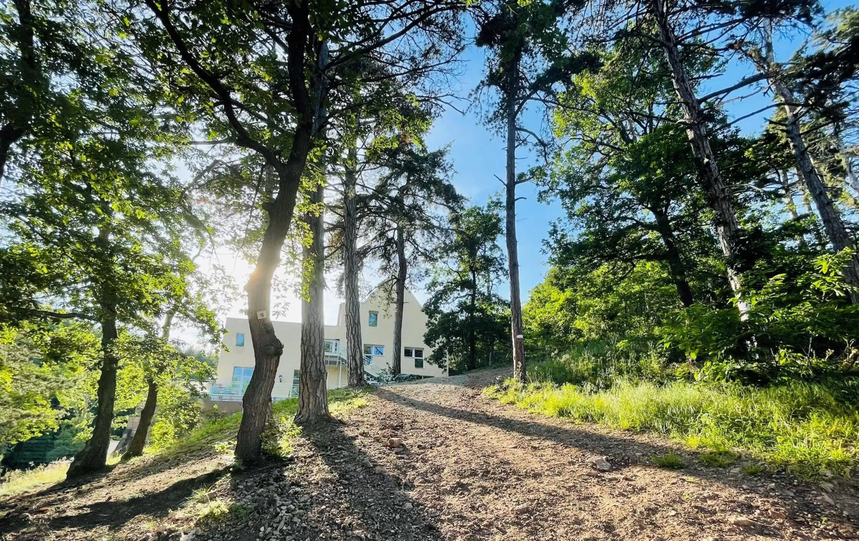 Natural landscape in Hotel SPA Husseren Collections - Proche Colmar - Eguisheim