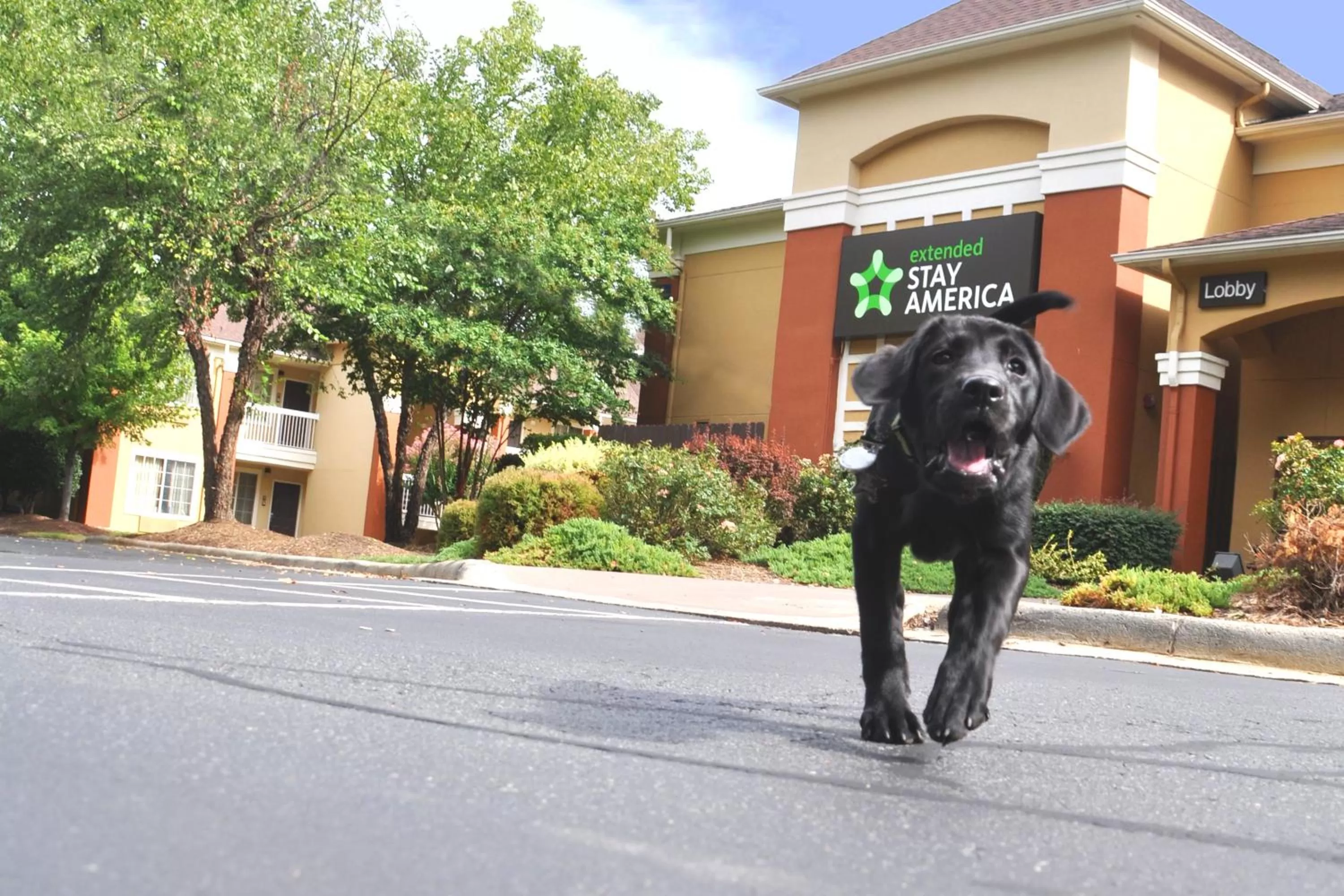 Pets in Extended Stay America Suites - Cleveland - Brooklyn