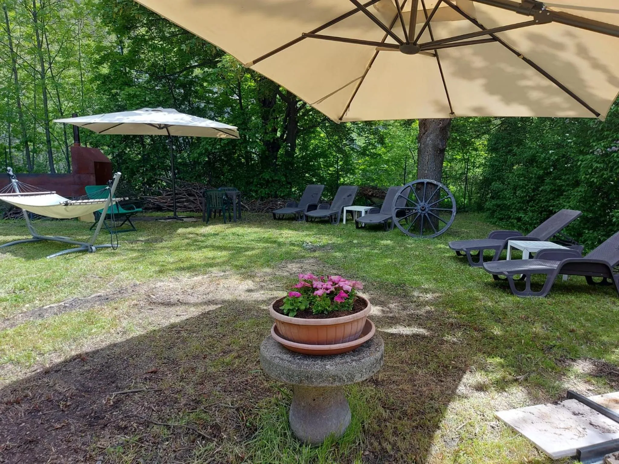 Garden view in Hotel Sommeiller