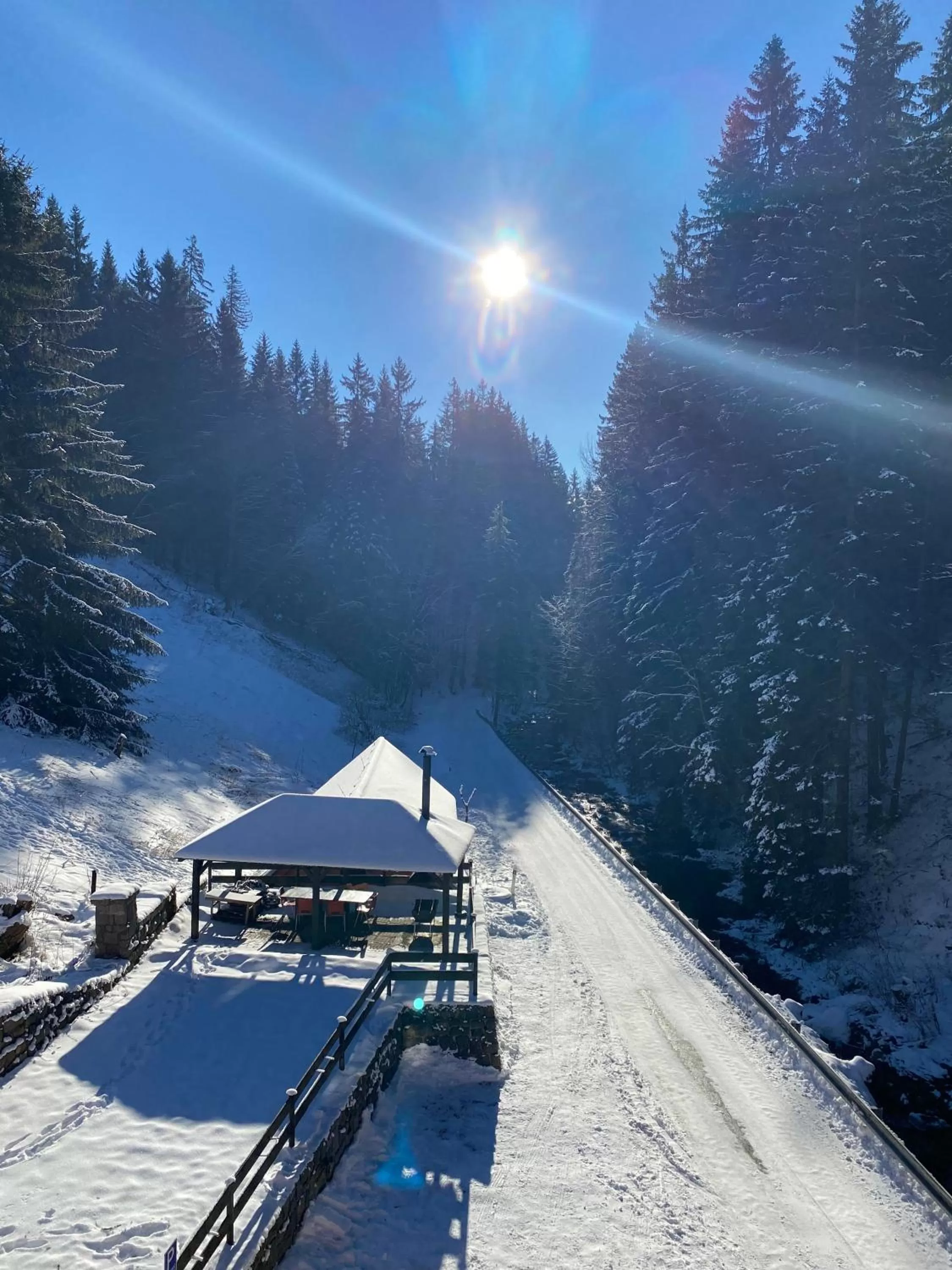Garden view in Hotel Petski